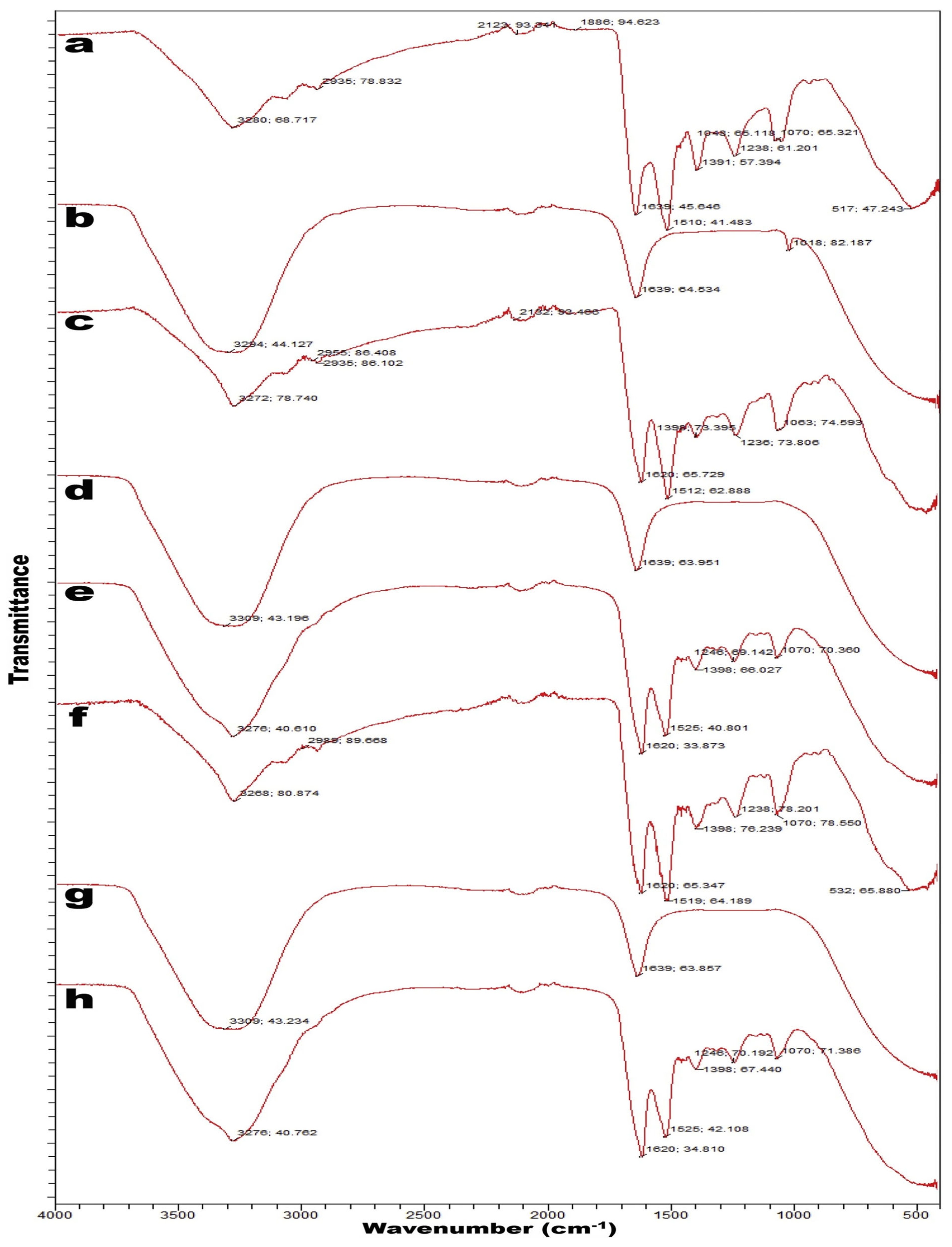 Ijms 24 04951 g003 Ijms 24 04951 g003