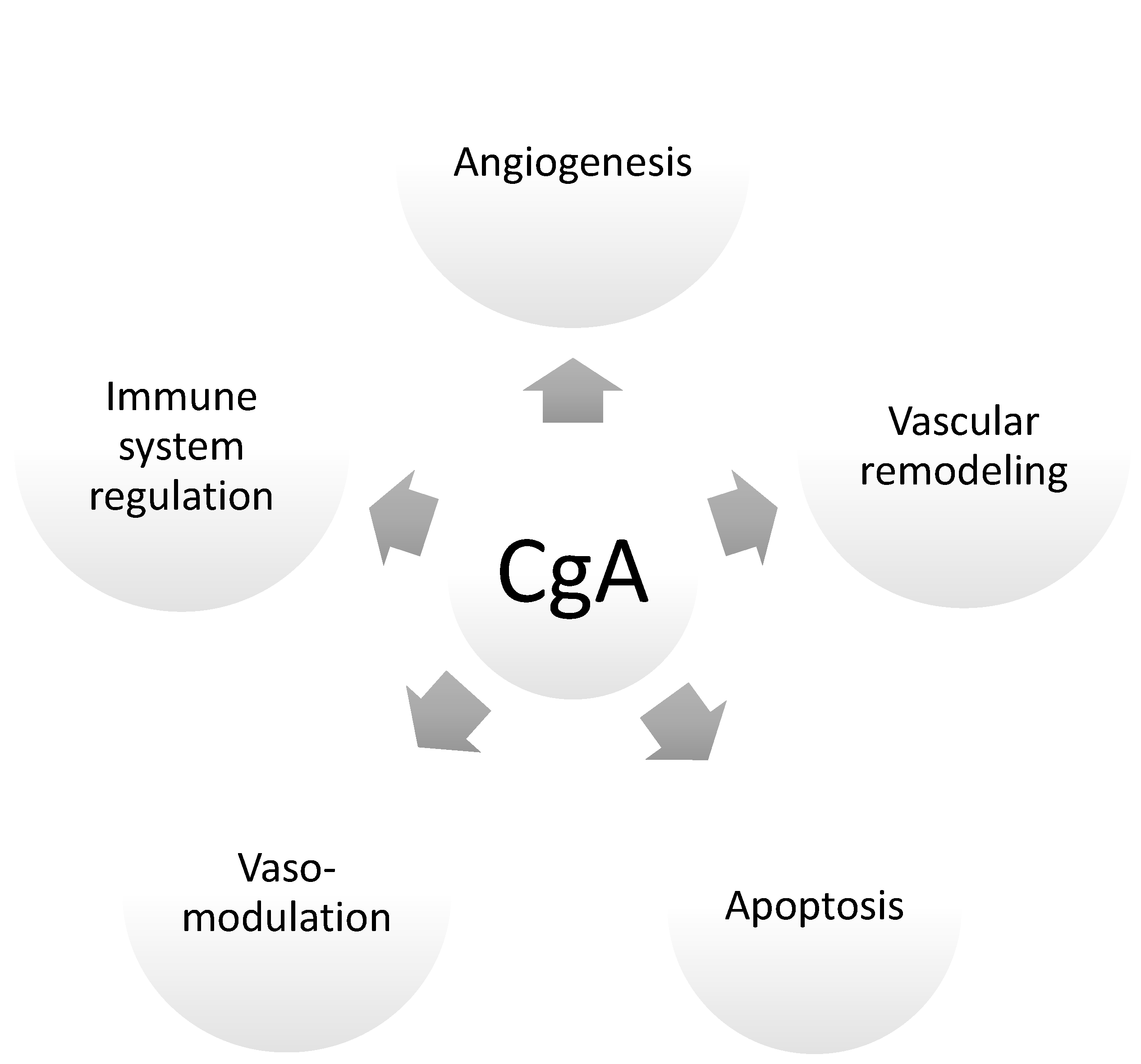 Ijms 24 04986 g002 Ijms 24 04986 g002