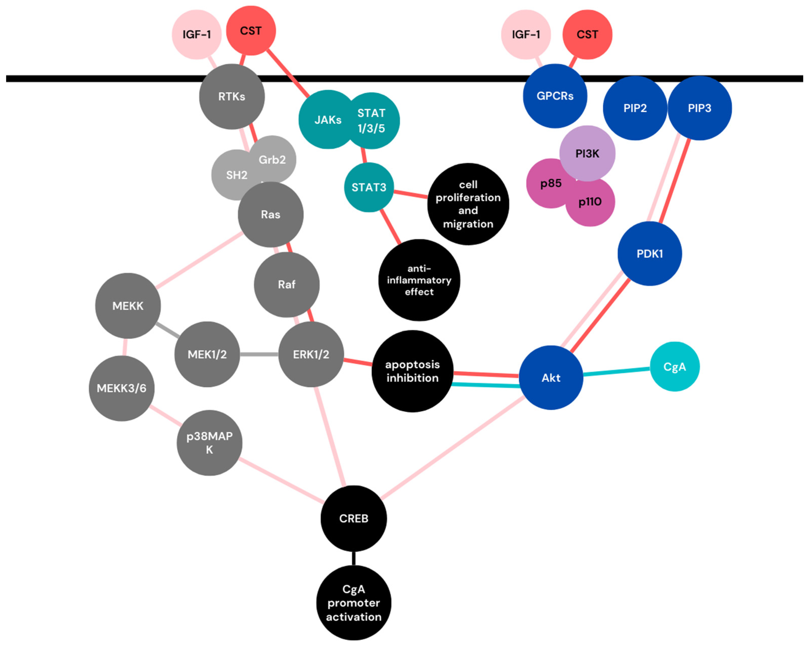 Ijms 24 04986 g003 Ijms 24 04986 g003