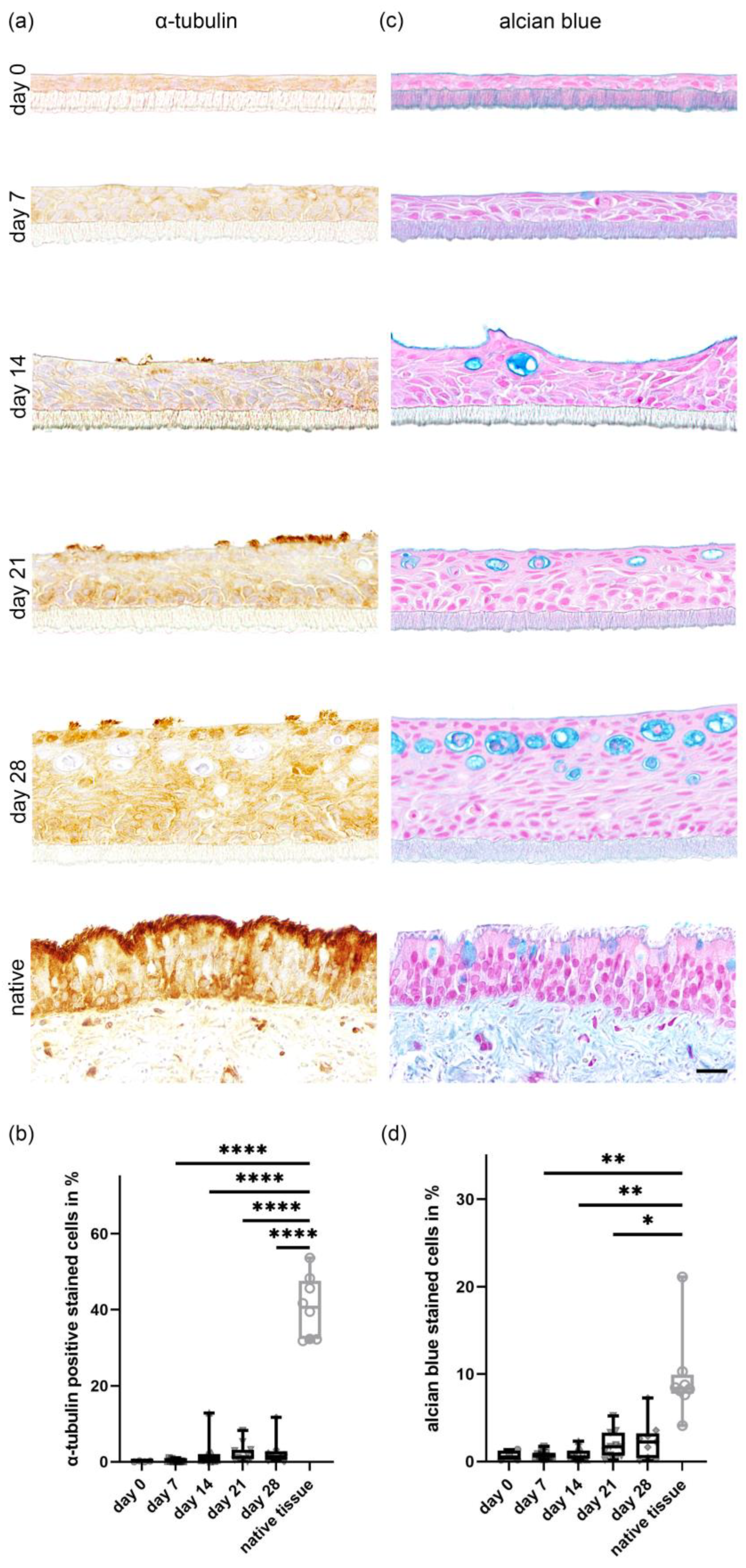 Ijms 24 04987 g004 Ijms 24 04987 g004