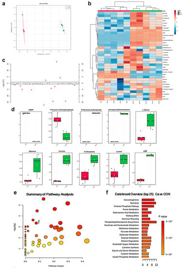 IJMS | Free Full-Text | Extracellular Calcium-Induced Calcium Transient ...