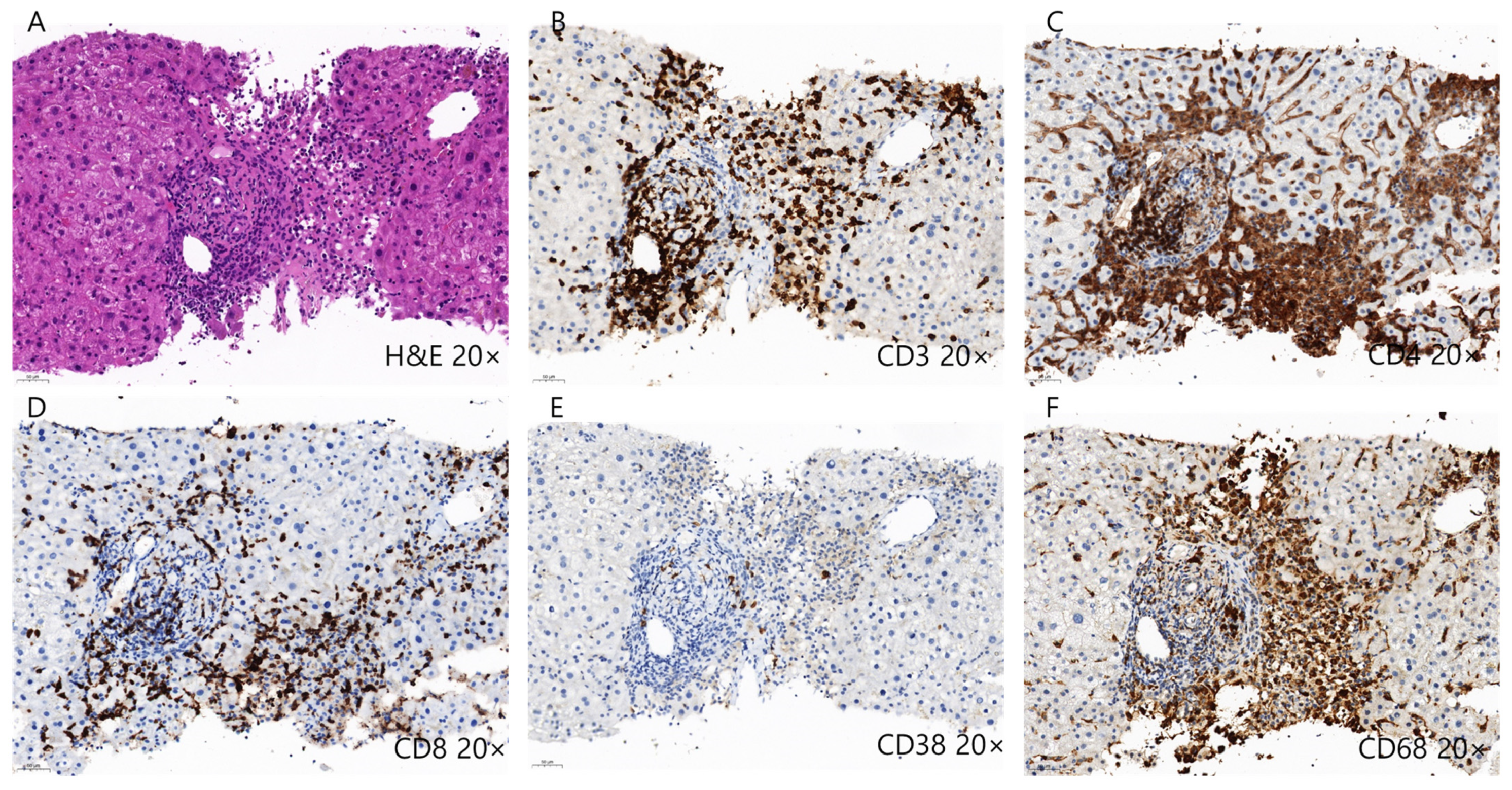 Ijms 24 05002 g003 Ijms 24 05002 g003