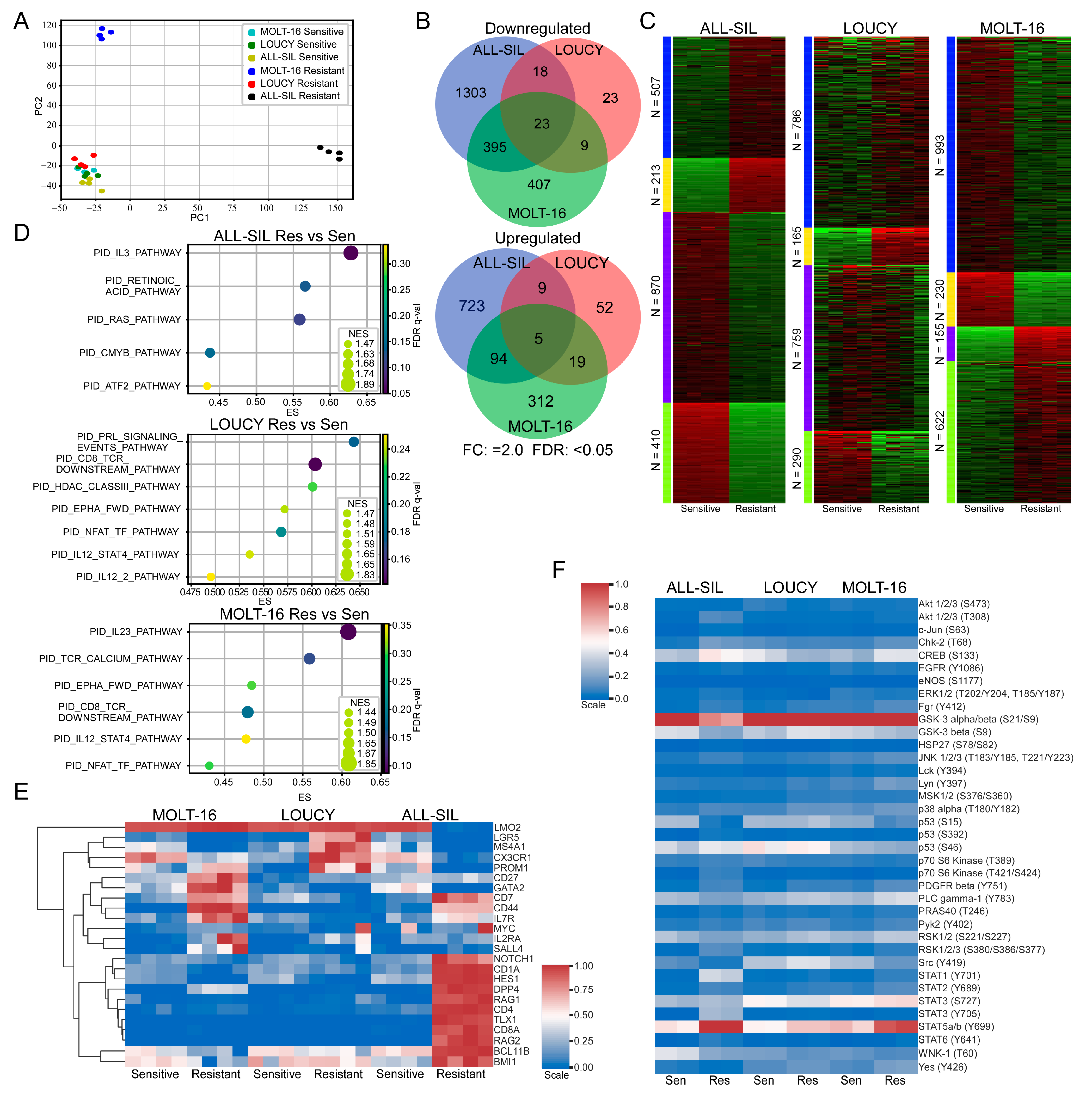 Ijms 24 05004 g004 Ijms 24 05004 g004