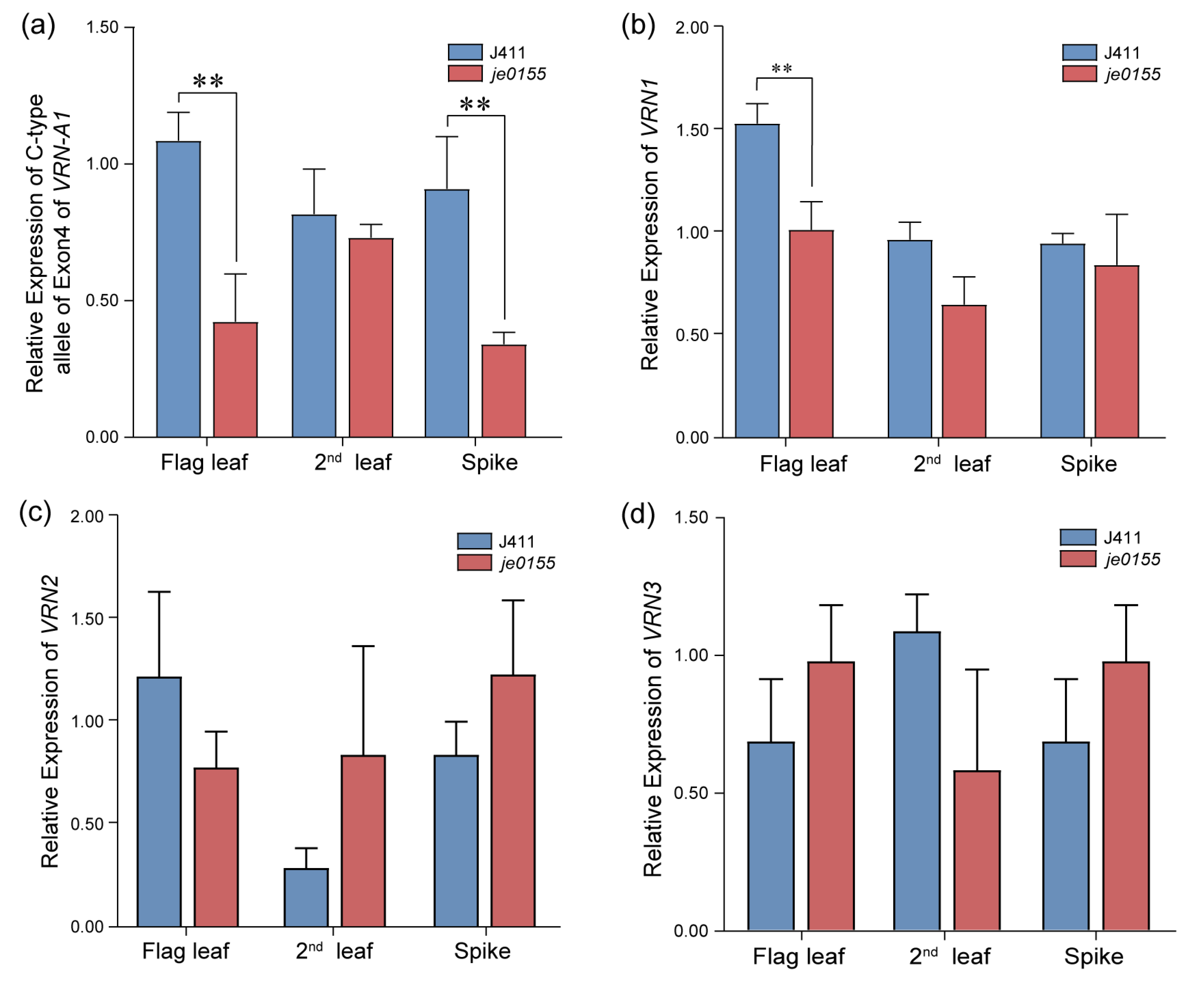 Ijms 24 05008 g005 Ijms 24 05008 g005