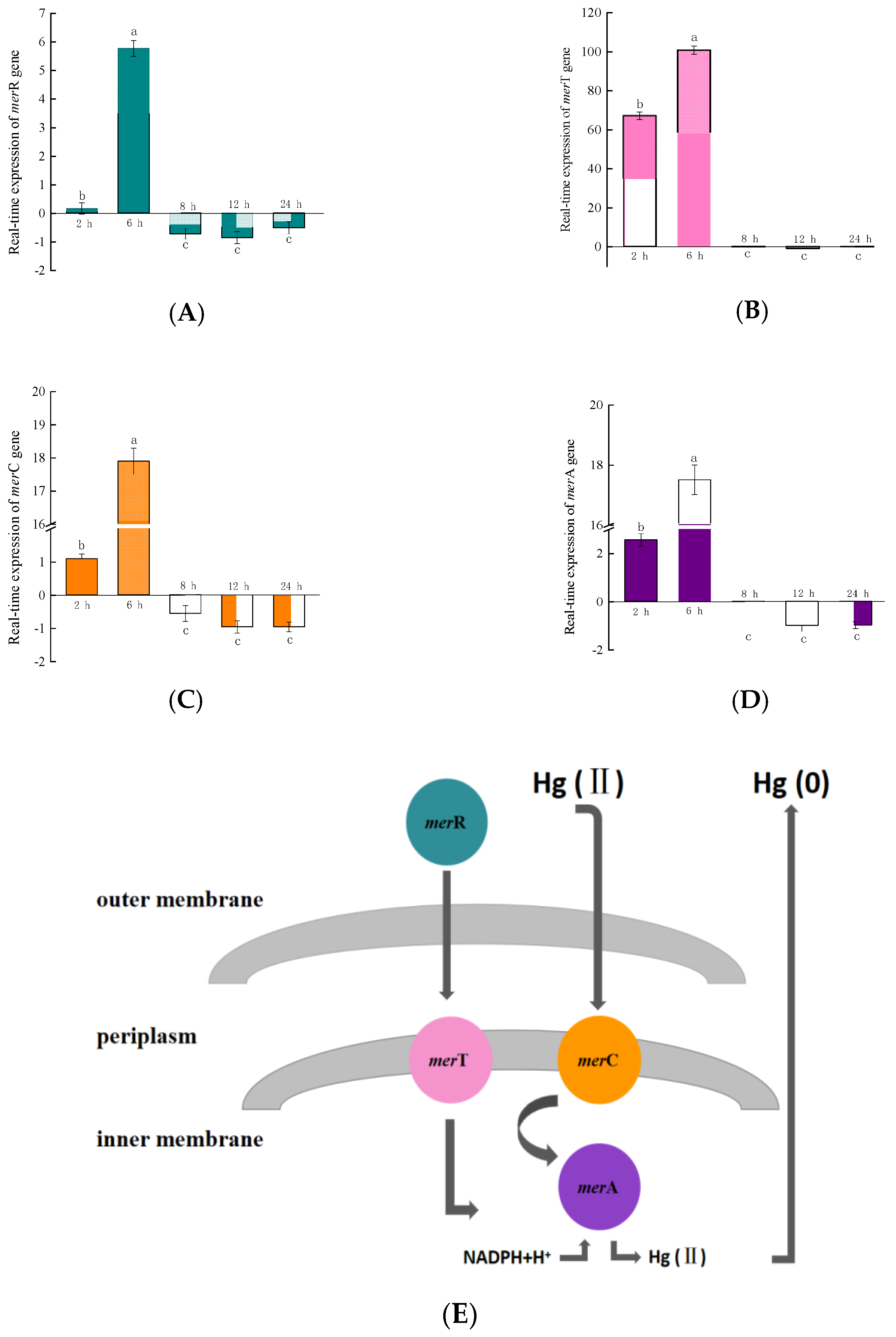 Ijms 24 05009 g002 Ijms 24 05009 g002