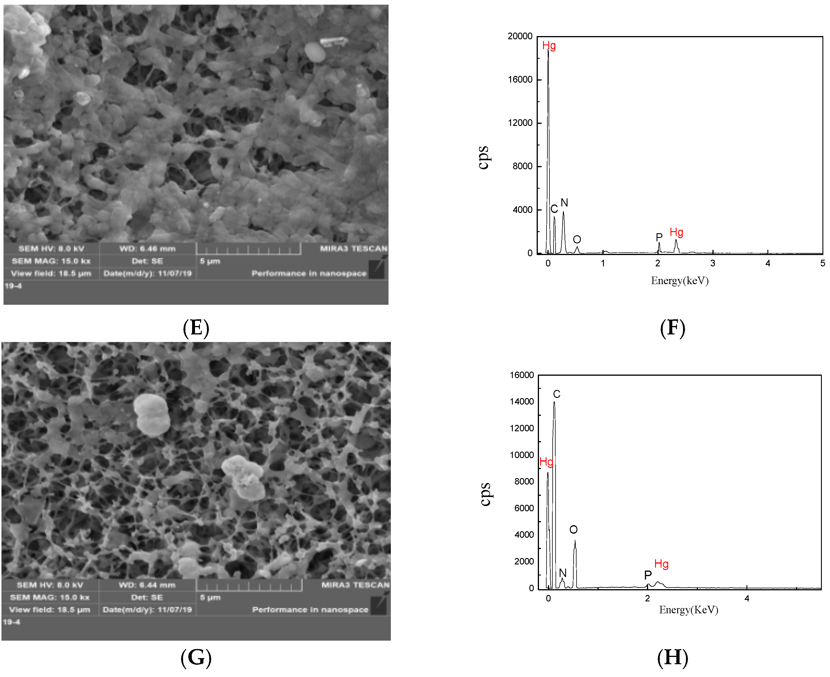 Ijms 24 05009 g003b Ijms 24 05009 g003b