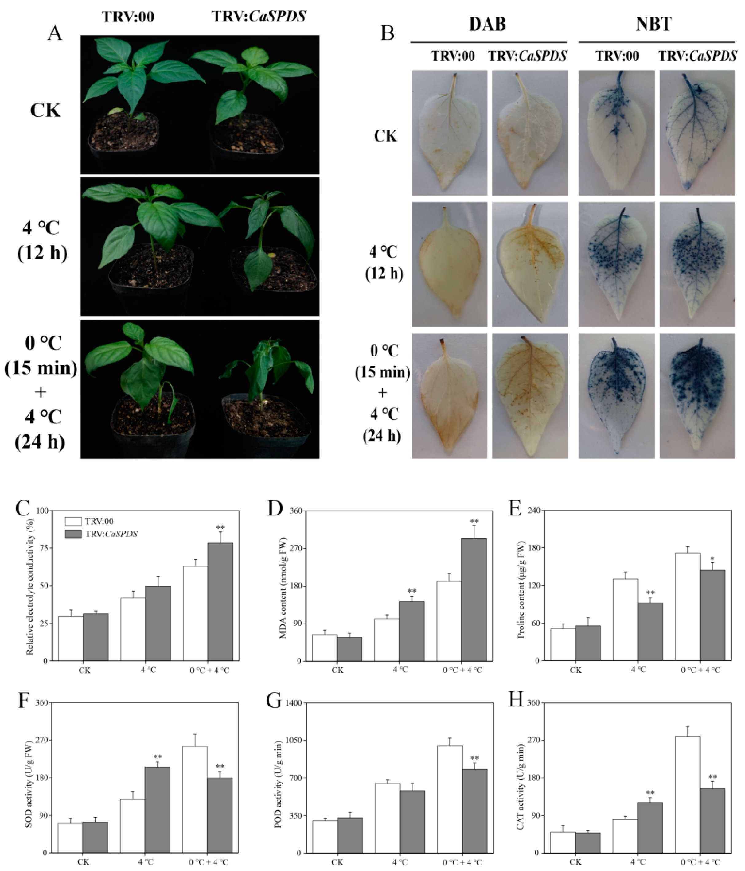 Ijms 24 05013 g005 Ijms 24 05013 g005