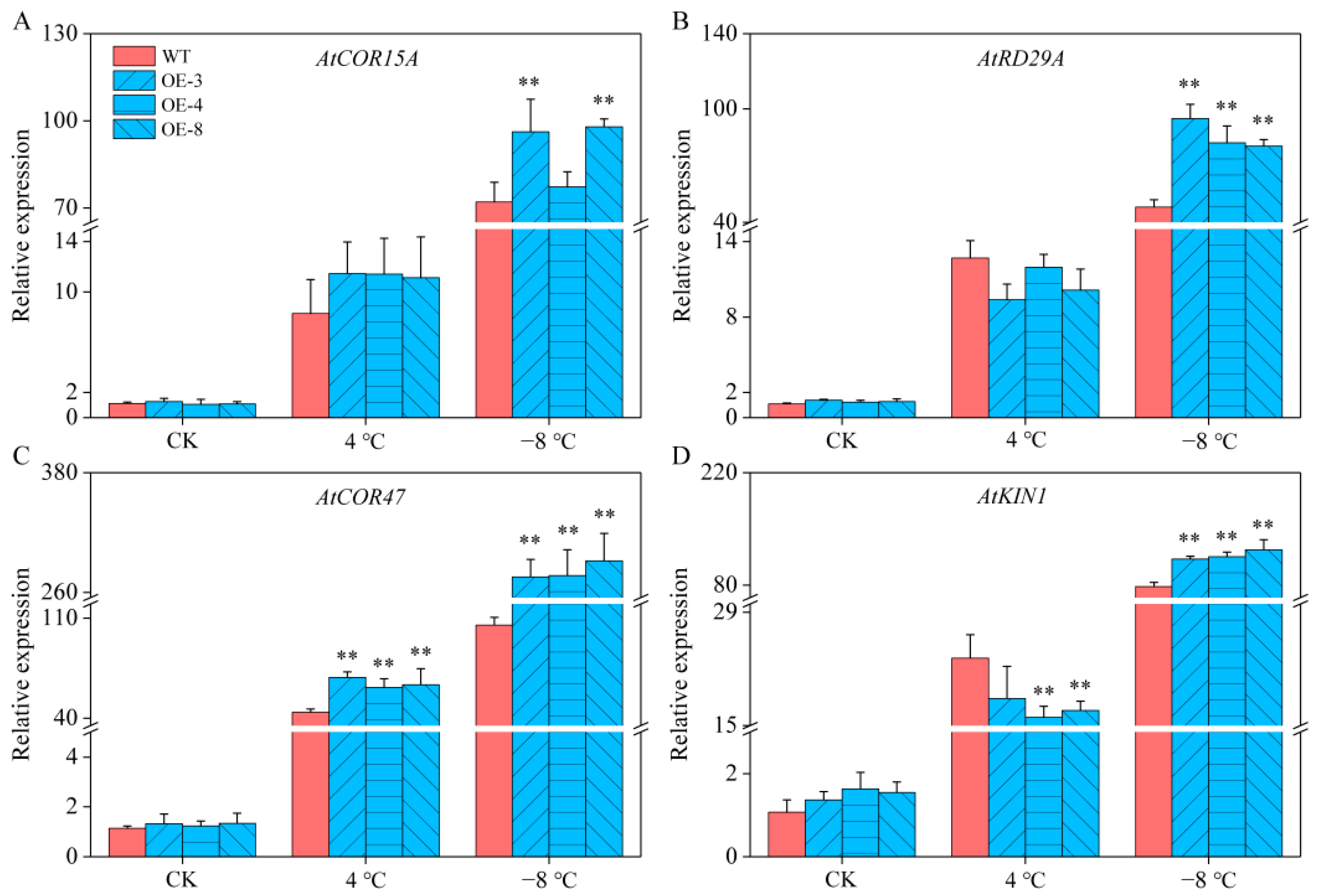 Ijms 24 05013 g008 Ijms 24 05013 g008