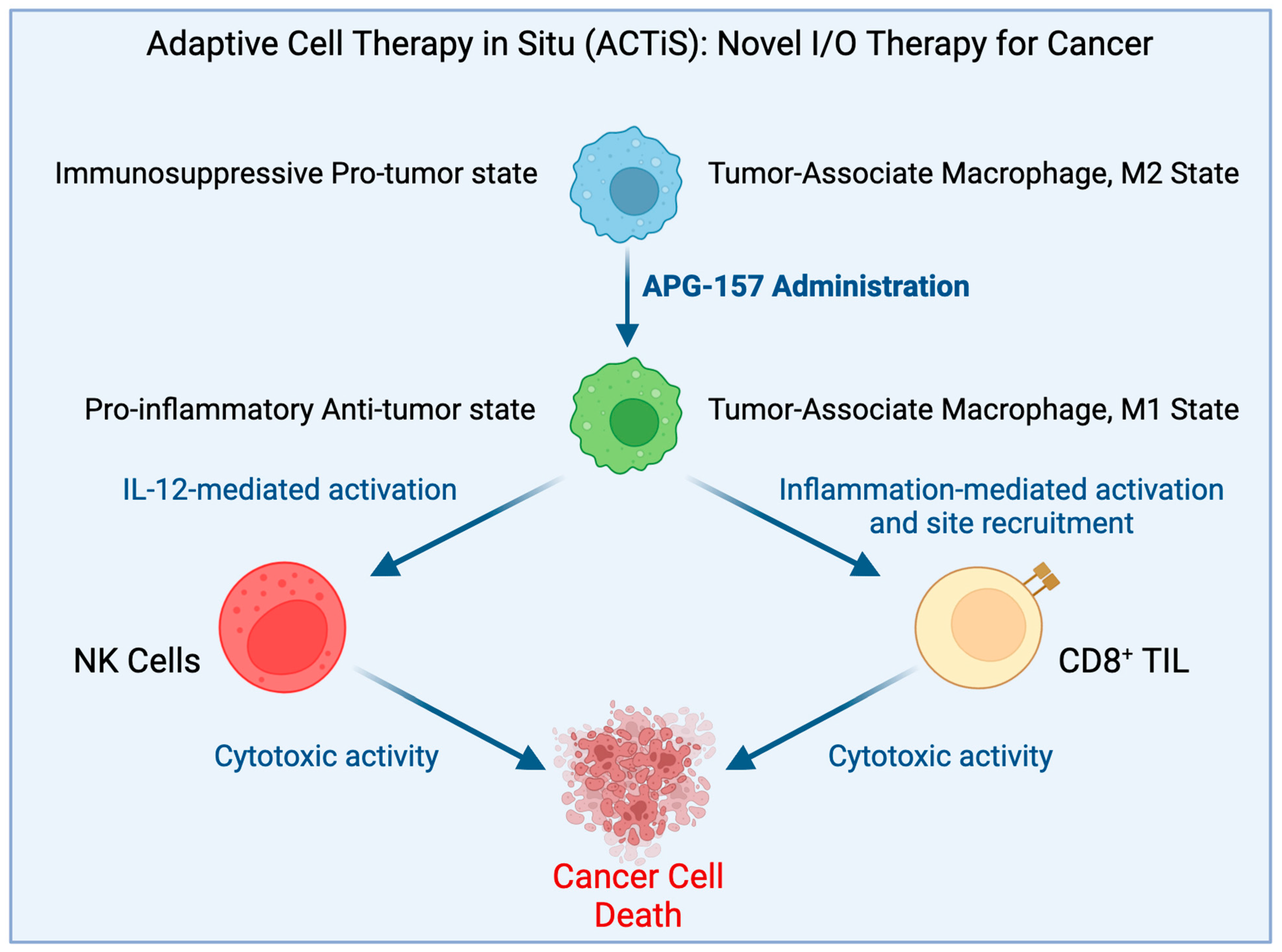 Ijms 24 05026 g002 Ijms 24 05026 g002