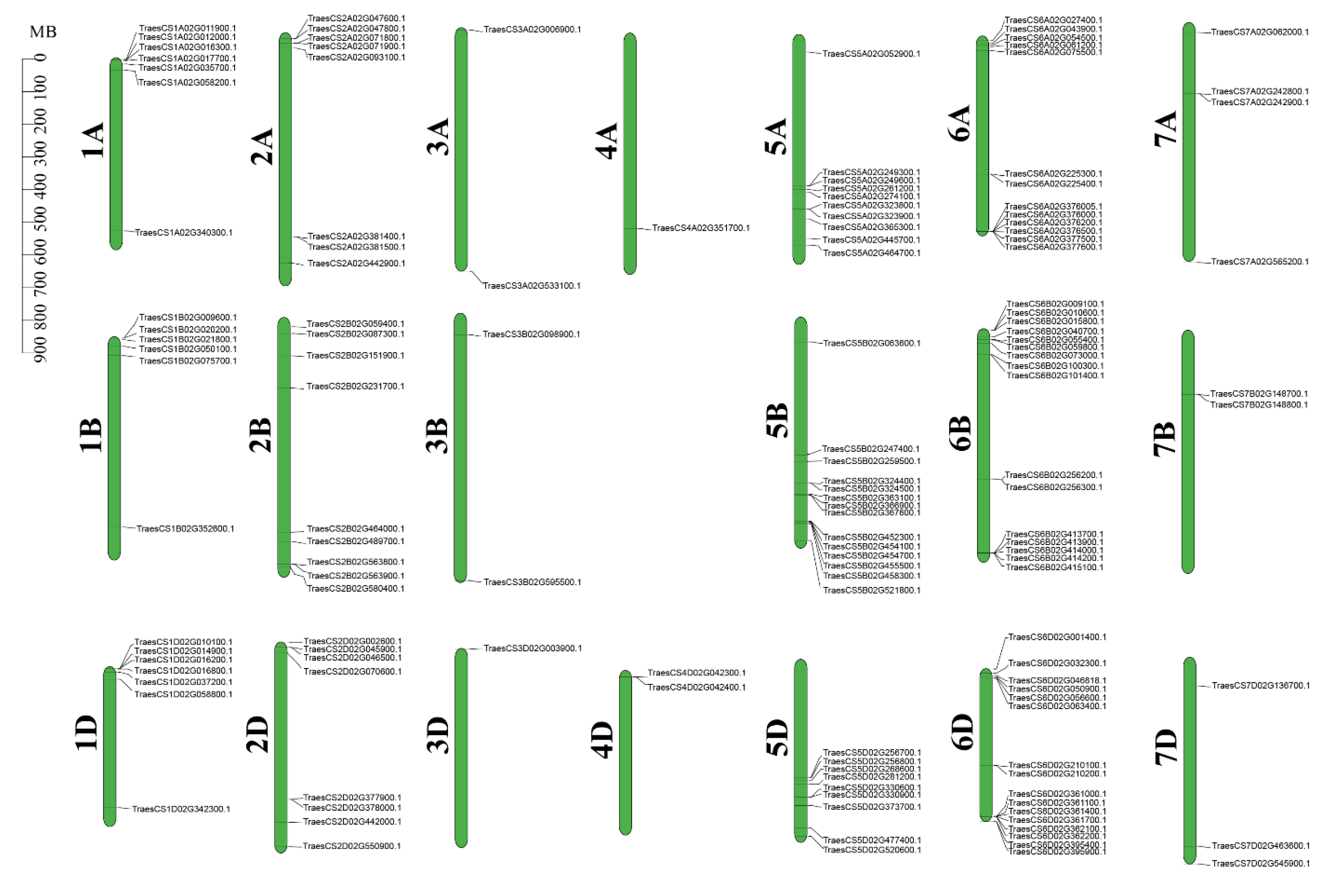 Ijms 24 05060 g001 Ijms 24 05060 g001