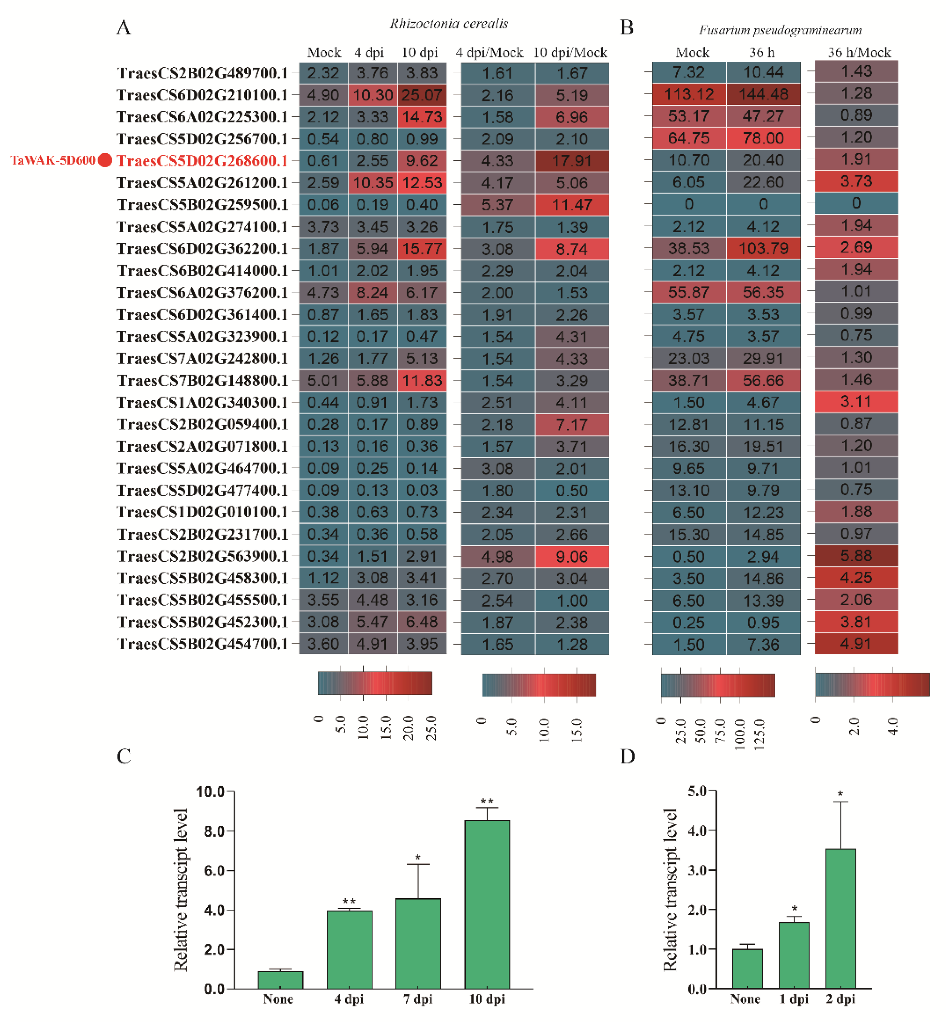 Ijms 24 05060 g003 Ijms 24 05060 g003