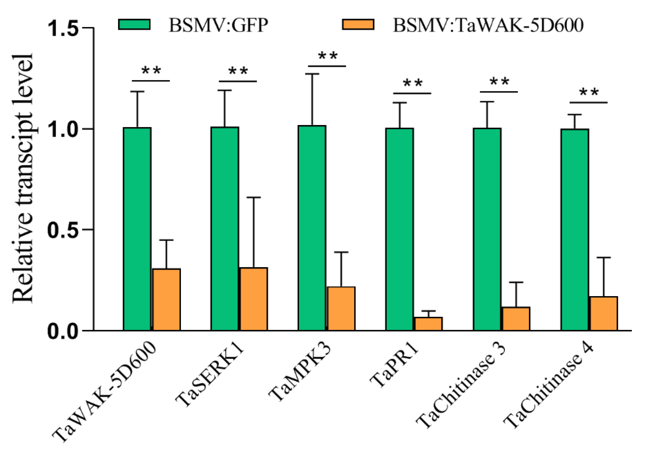 Ijms 24 05060 g006 Ijms 24 05060 g006