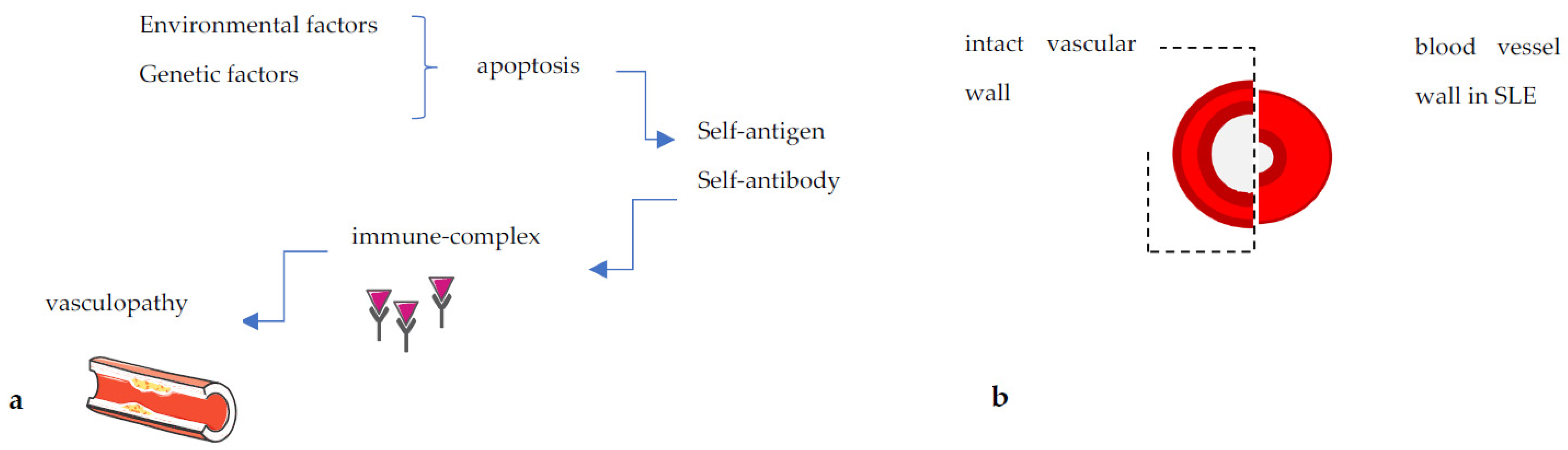 Ijms 24 05085 g001 Ijms 24 05085 g001