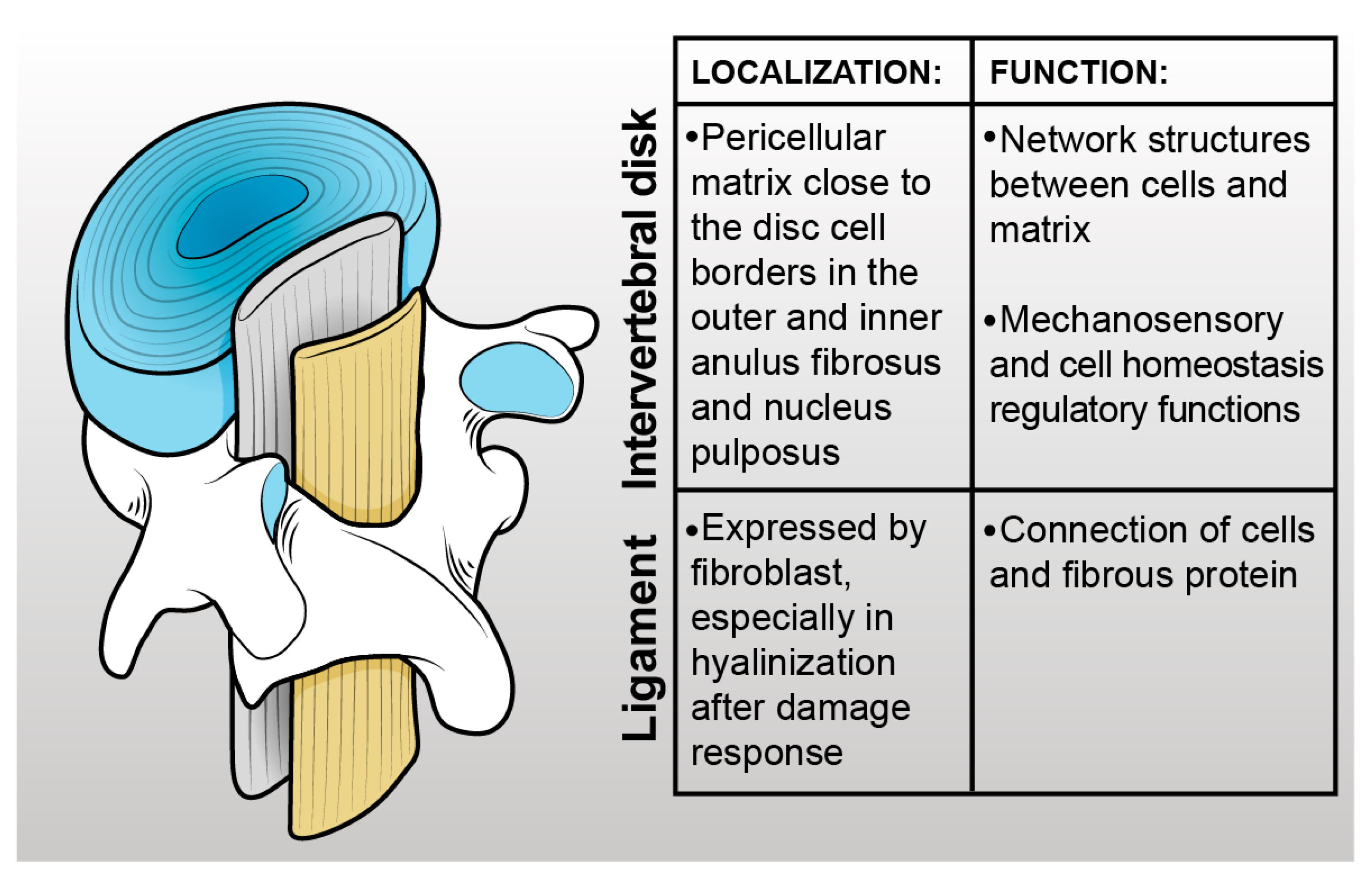 Ijms 24 05095 g002 Ijms 24 05095 g002