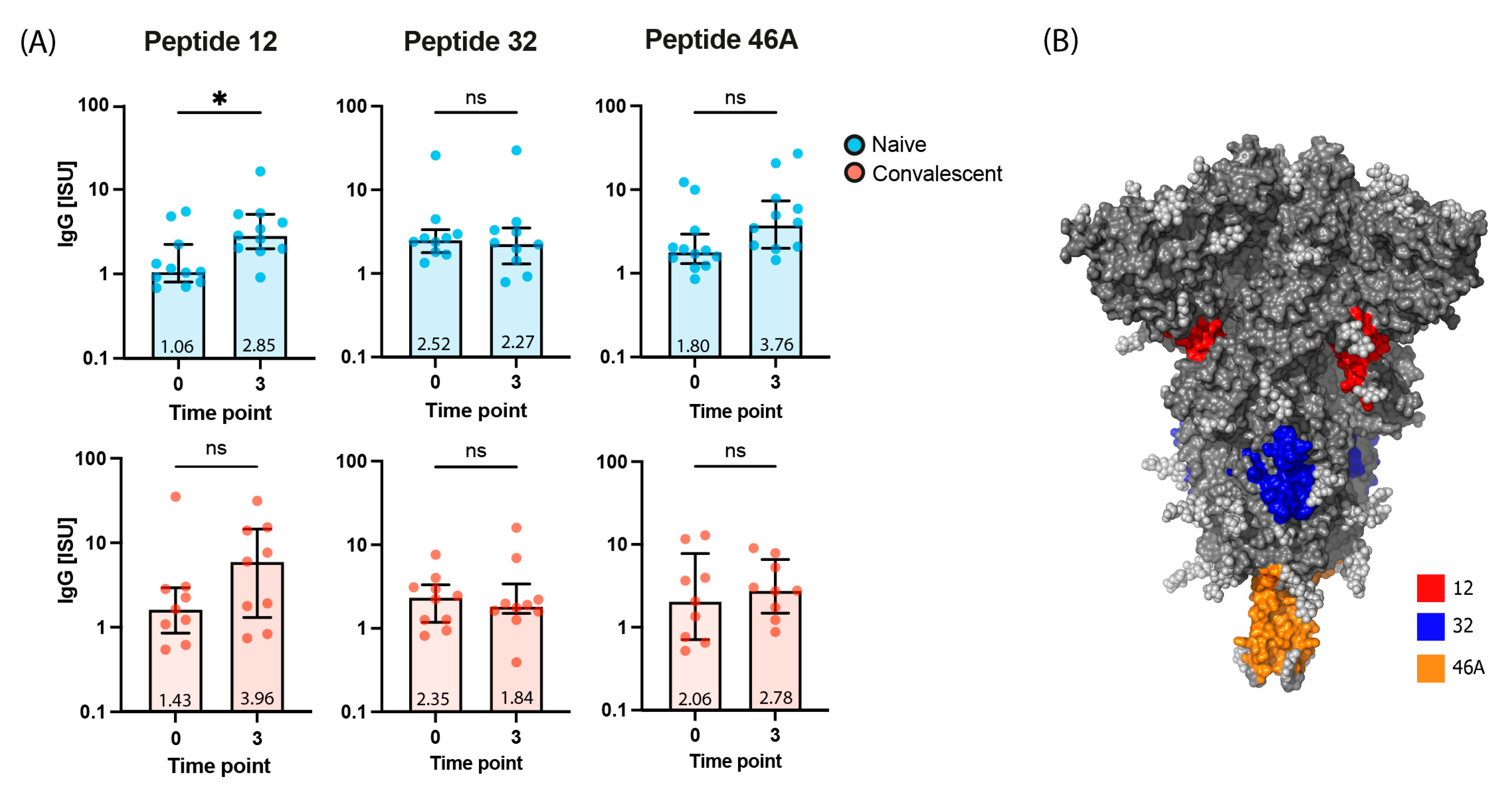 Ijms 24 05104 g003 Ijms 24 05104 g003