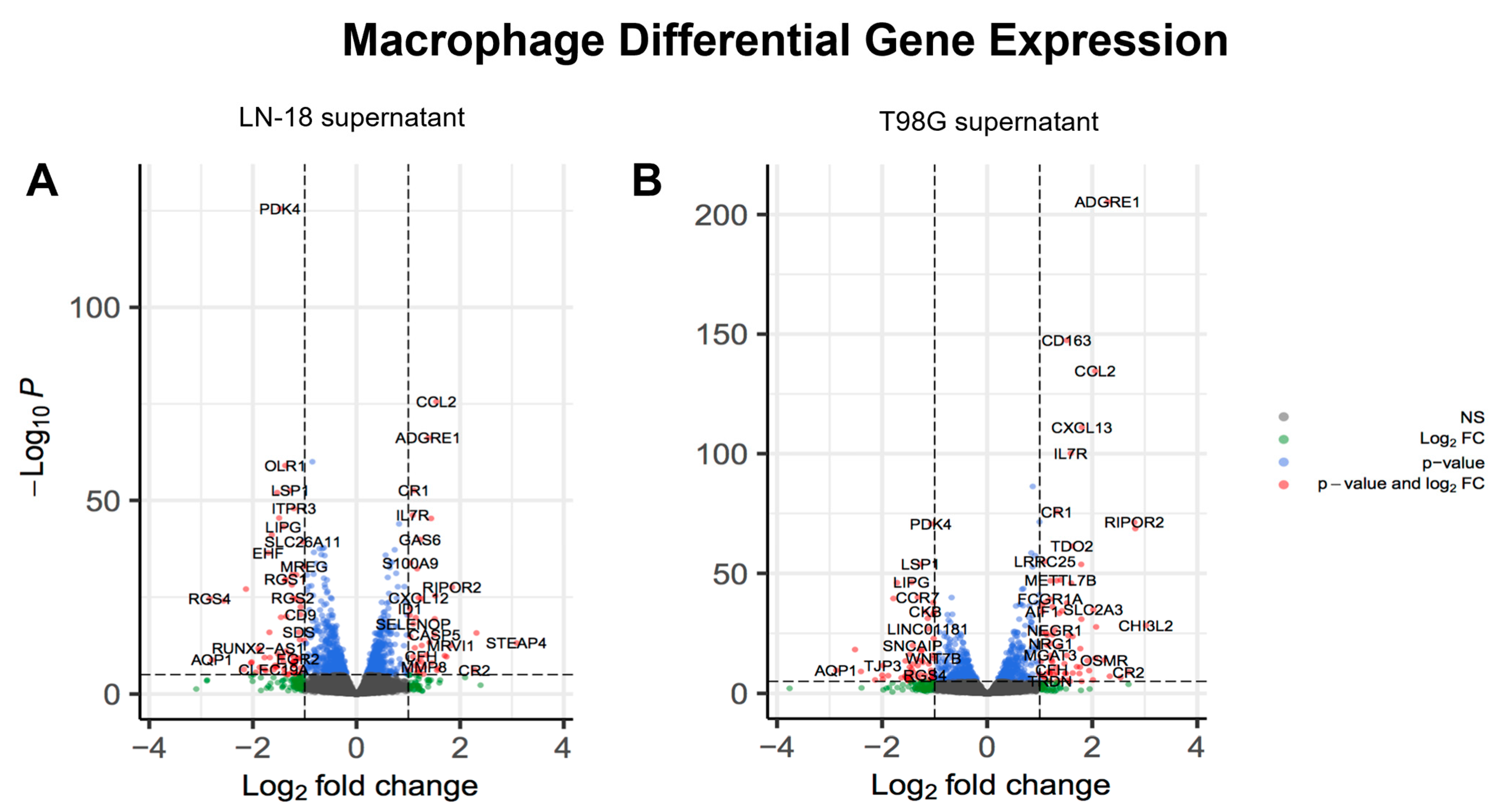 Ijms 24 05115 g004 Ijms 24 05115 g004