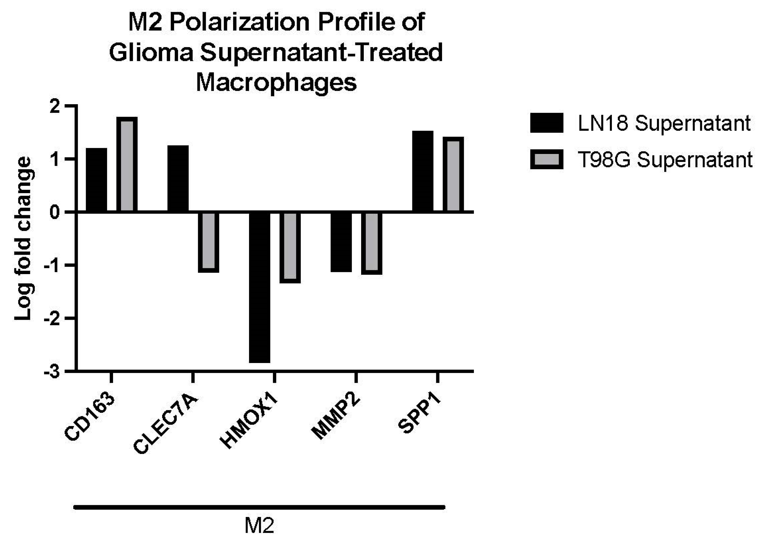 Ijms 24 05115 g005 Ijms 24 05115 g005