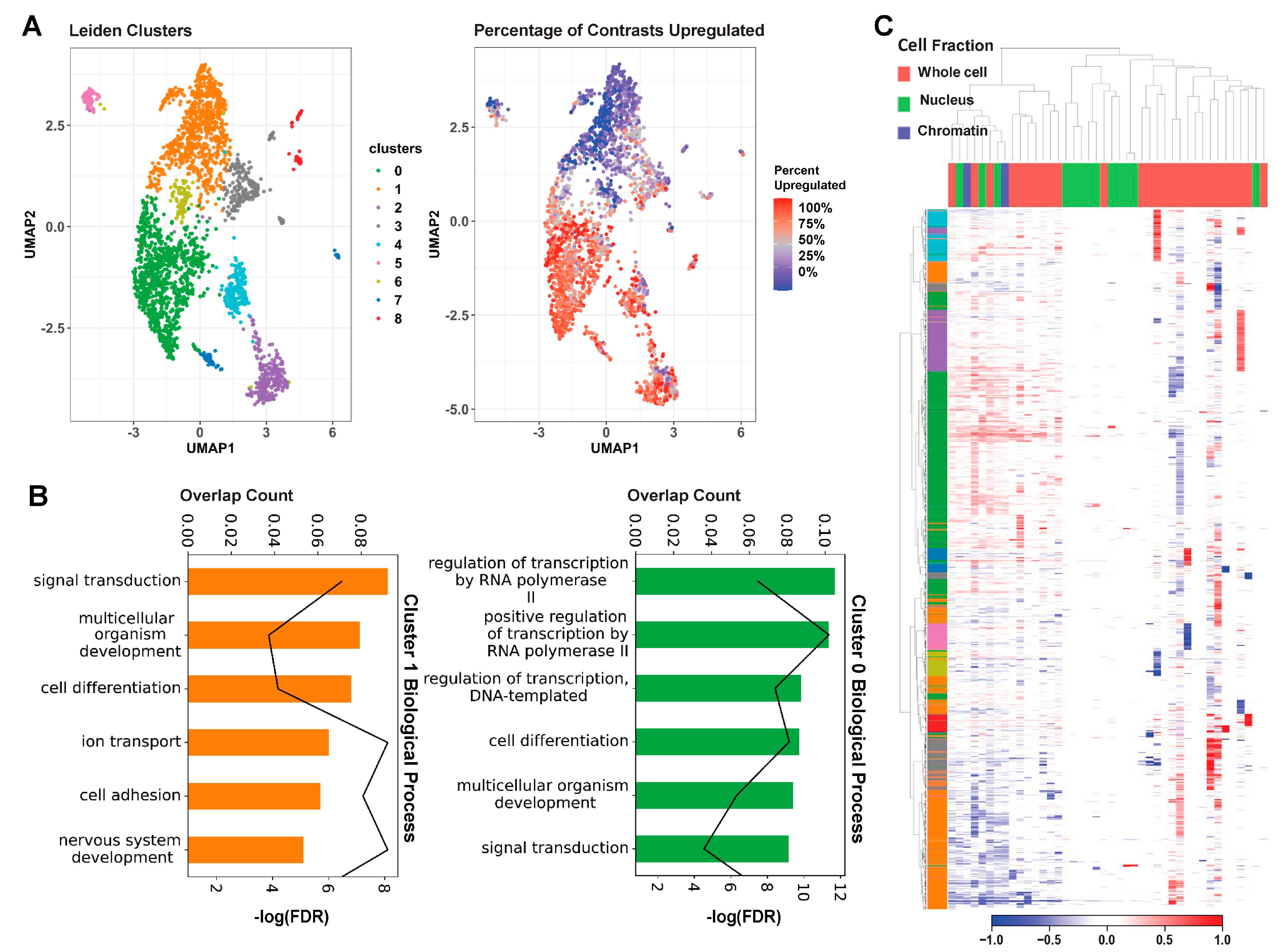 Ijms 24 05122 g003 Ijms 24 05122 g003