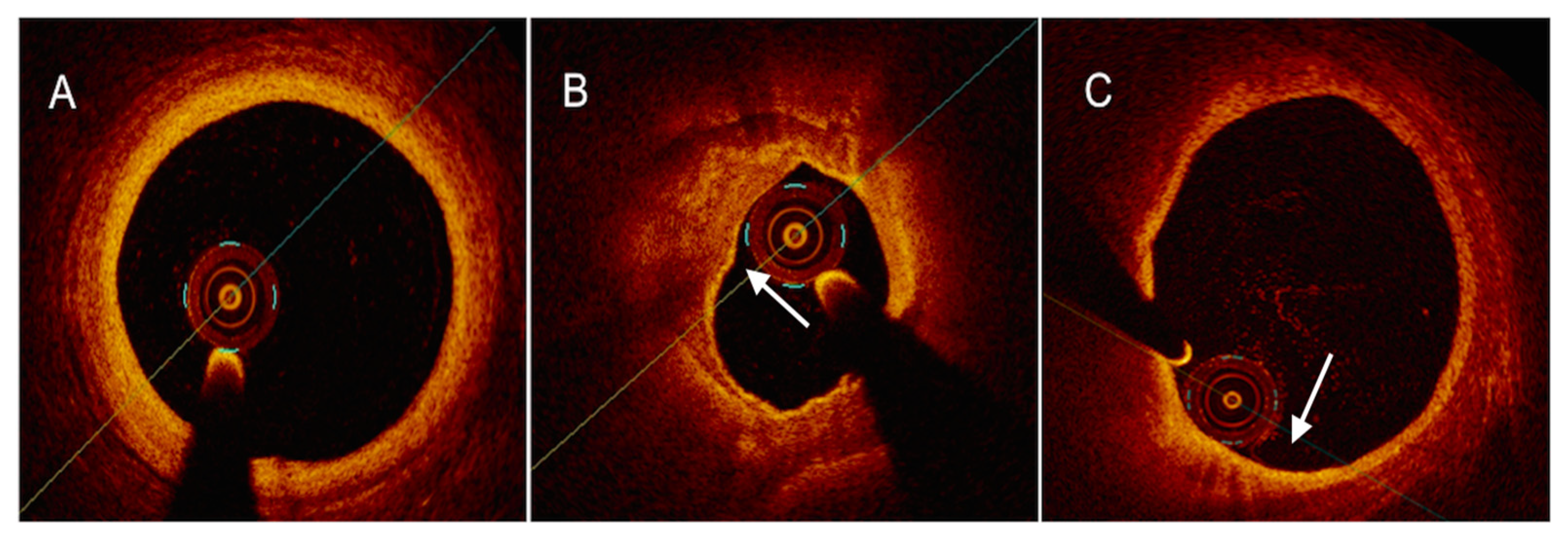Ijms 24 05155 g003 Ijms 24 05155 g003