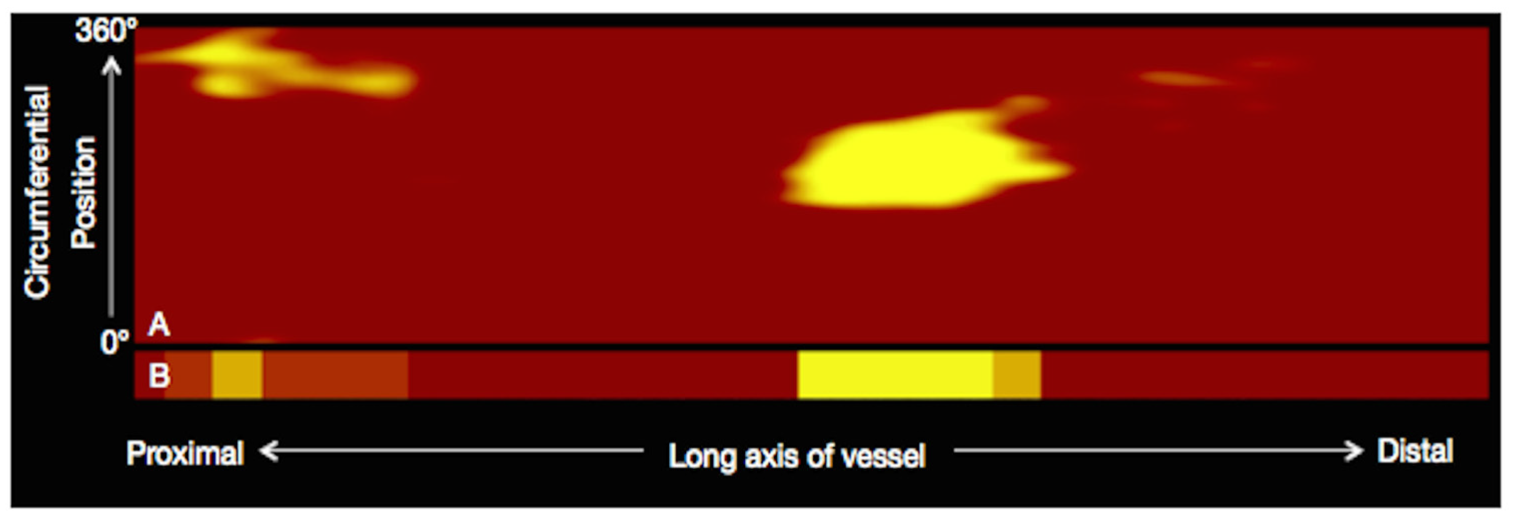 Ijms 24 05155 g006 Ijms 24 05155 g006