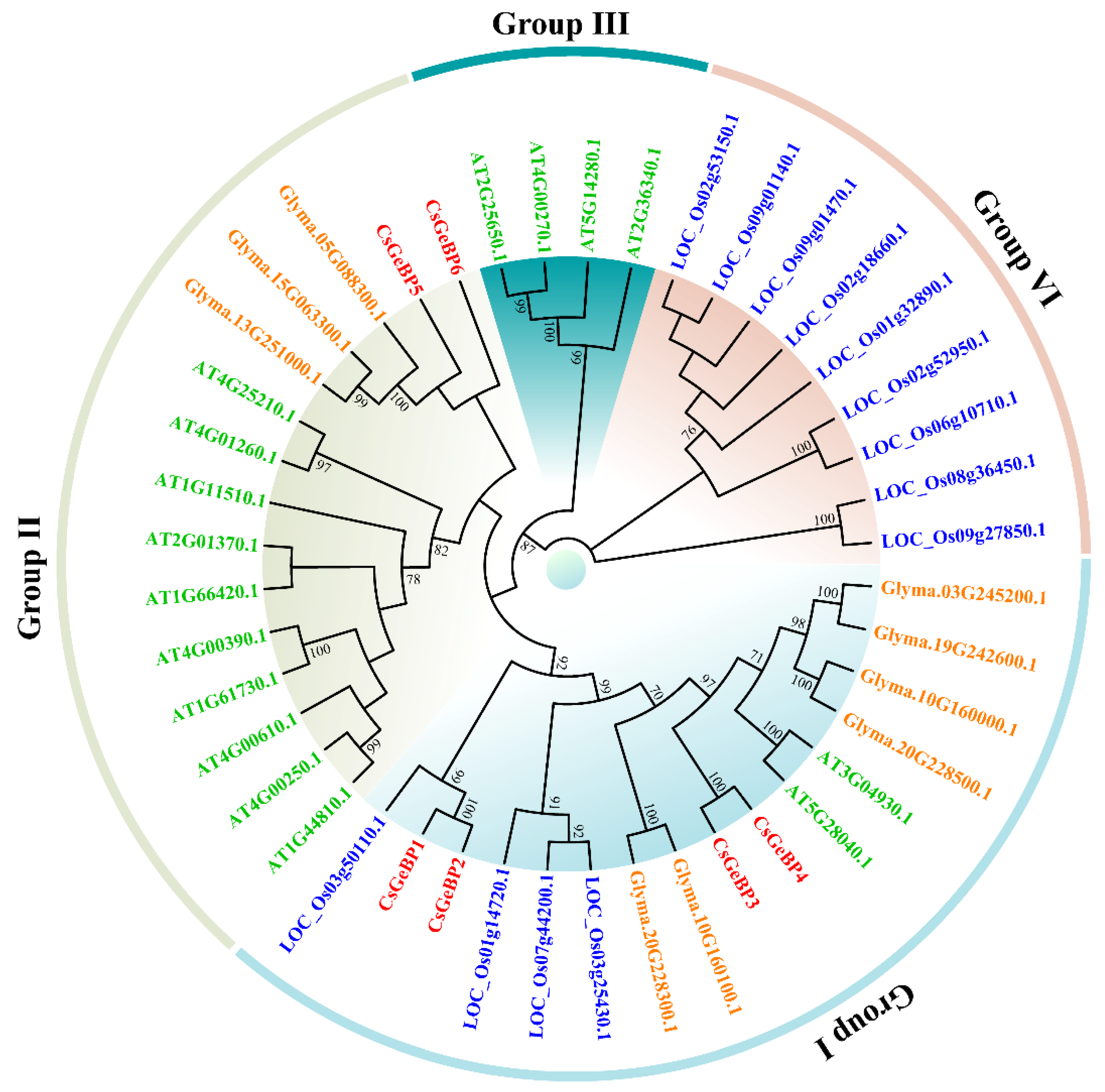 Ijms 24 05207 g003 Ijms 24 05207 g003