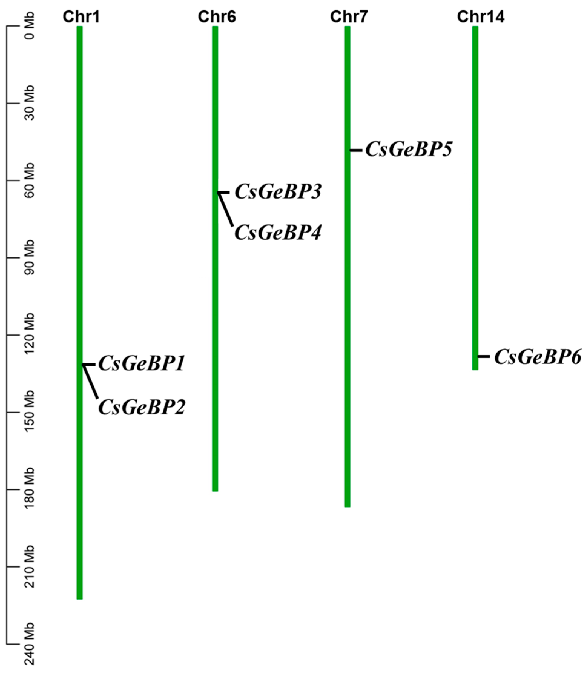Ijms 24 05207 g004 Ijms 24 05207 g004