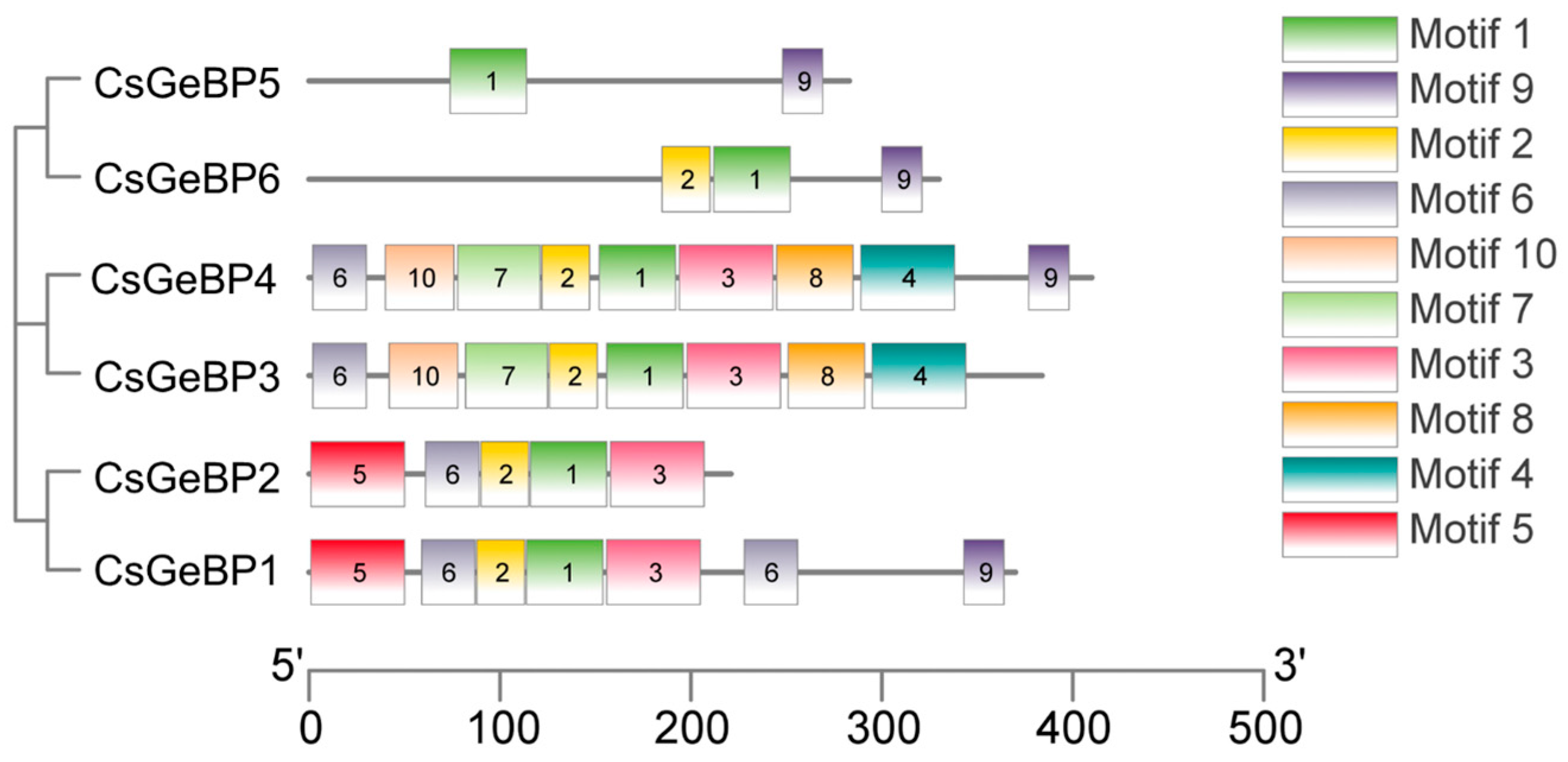 Ijms 24 05207 g006 Ijms 24 05207 g006