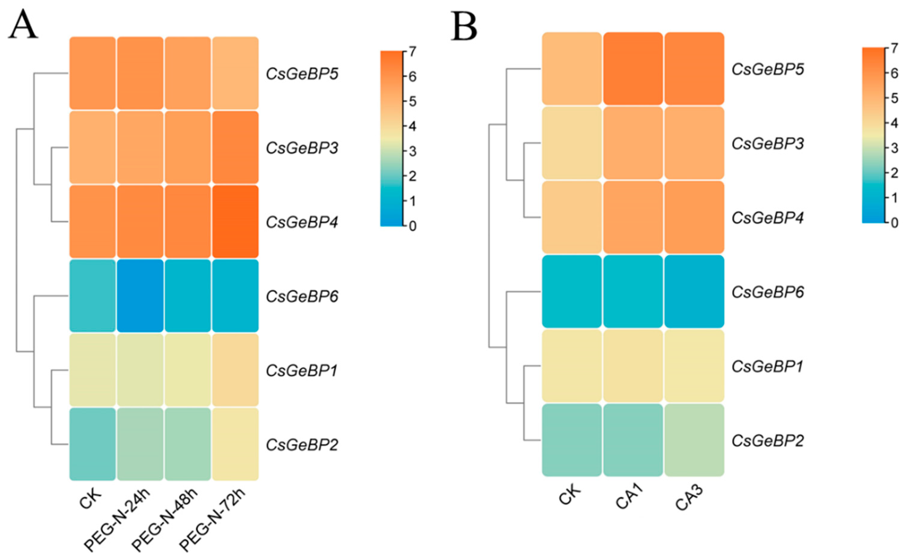 Ijms 24 05207 g009 Ijms 24 05207 g009