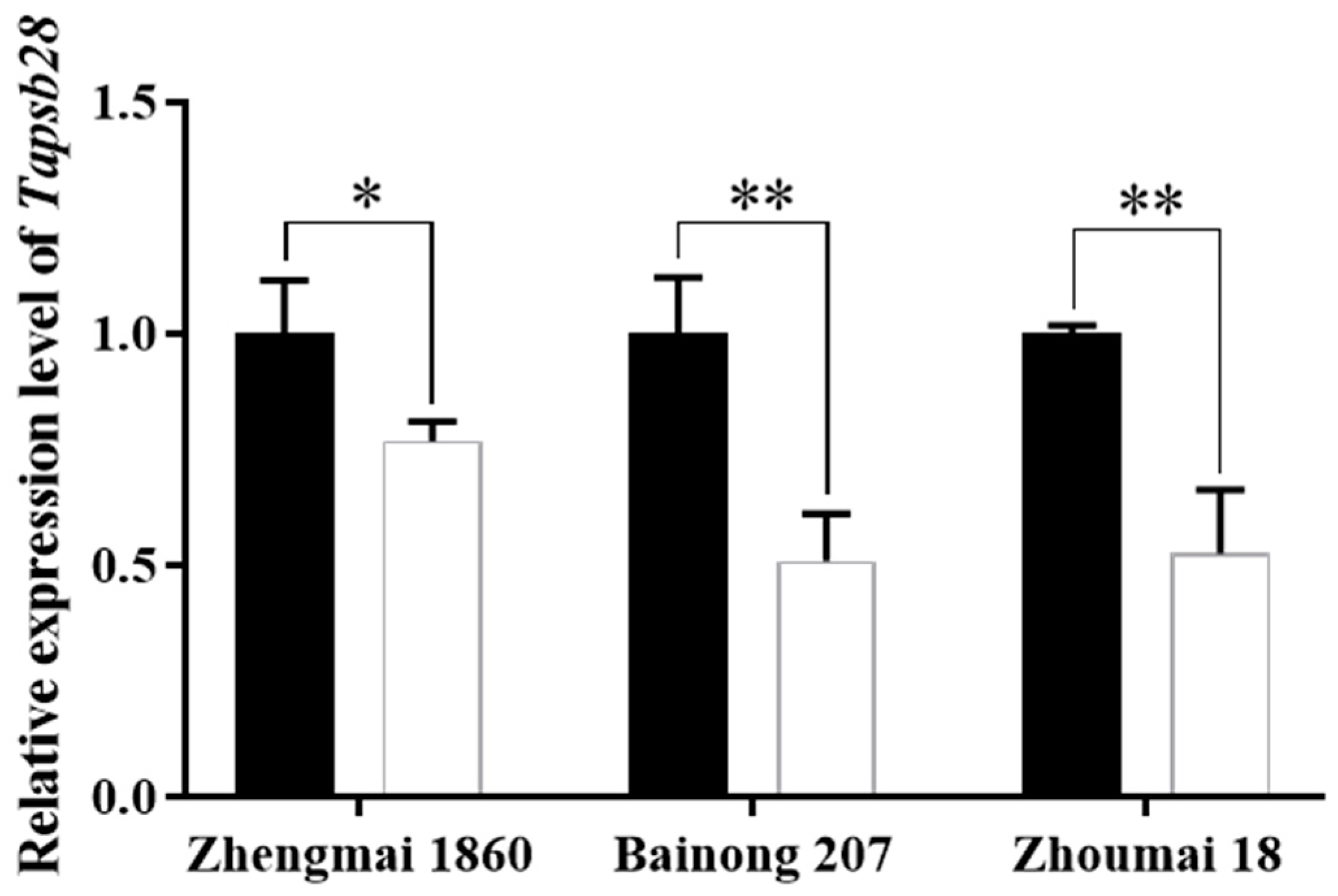 Ijms 24 05226 g002 Ijms 24 05226 g002