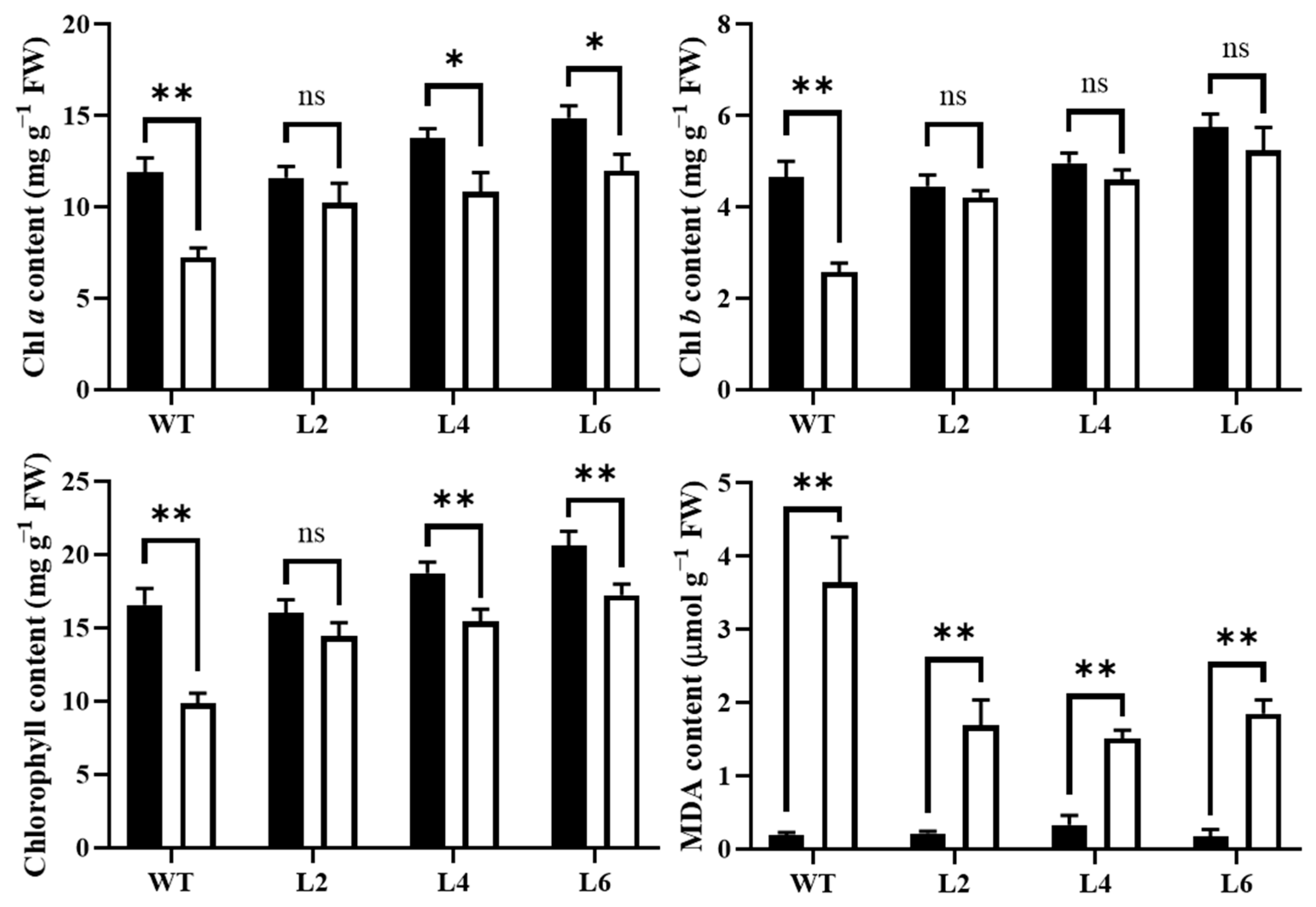Ijms 24 05226 g008 Ijms 24 05226 g008