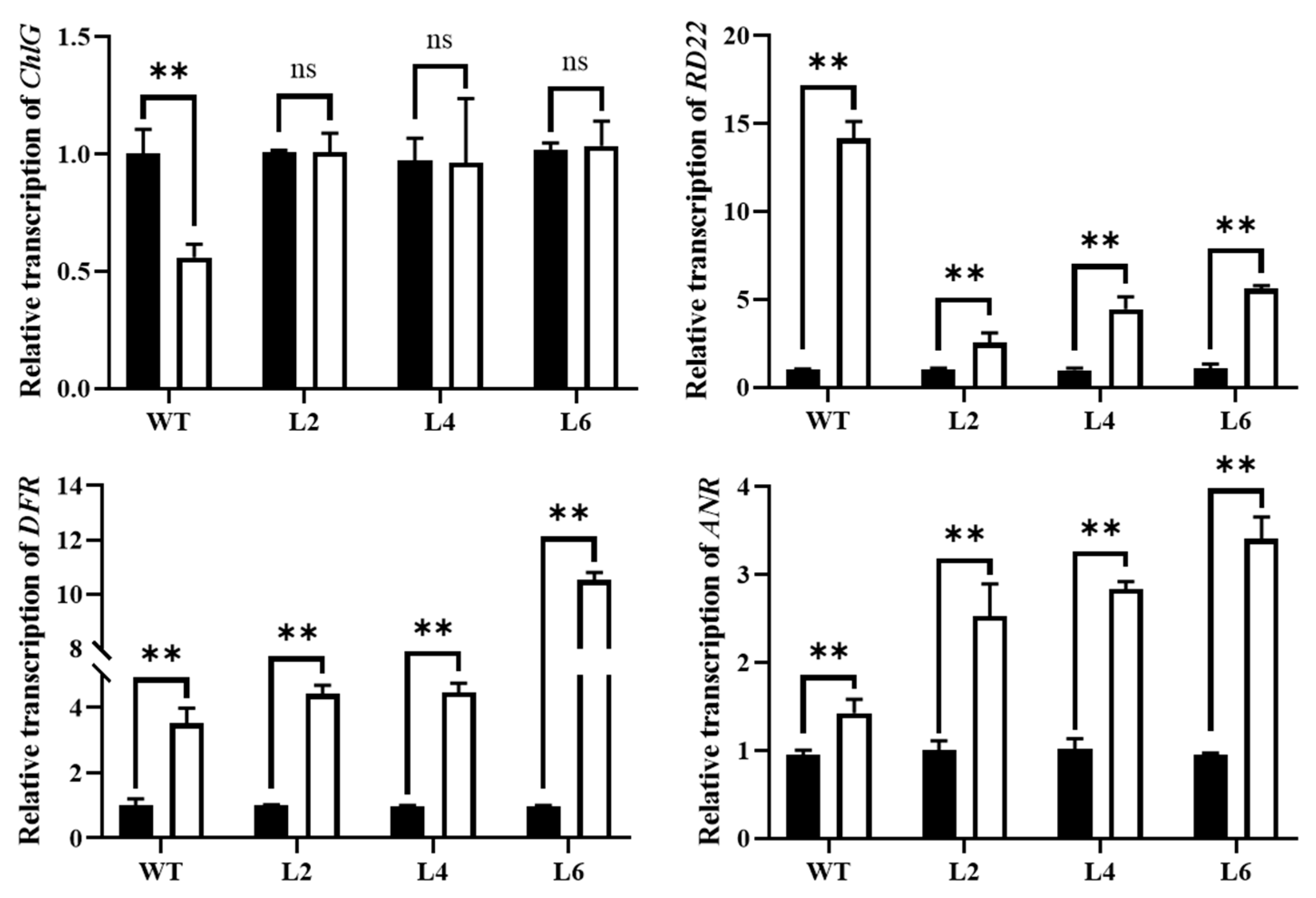 Ijms 24 05226 g010 Ijms 24 05226 g010
