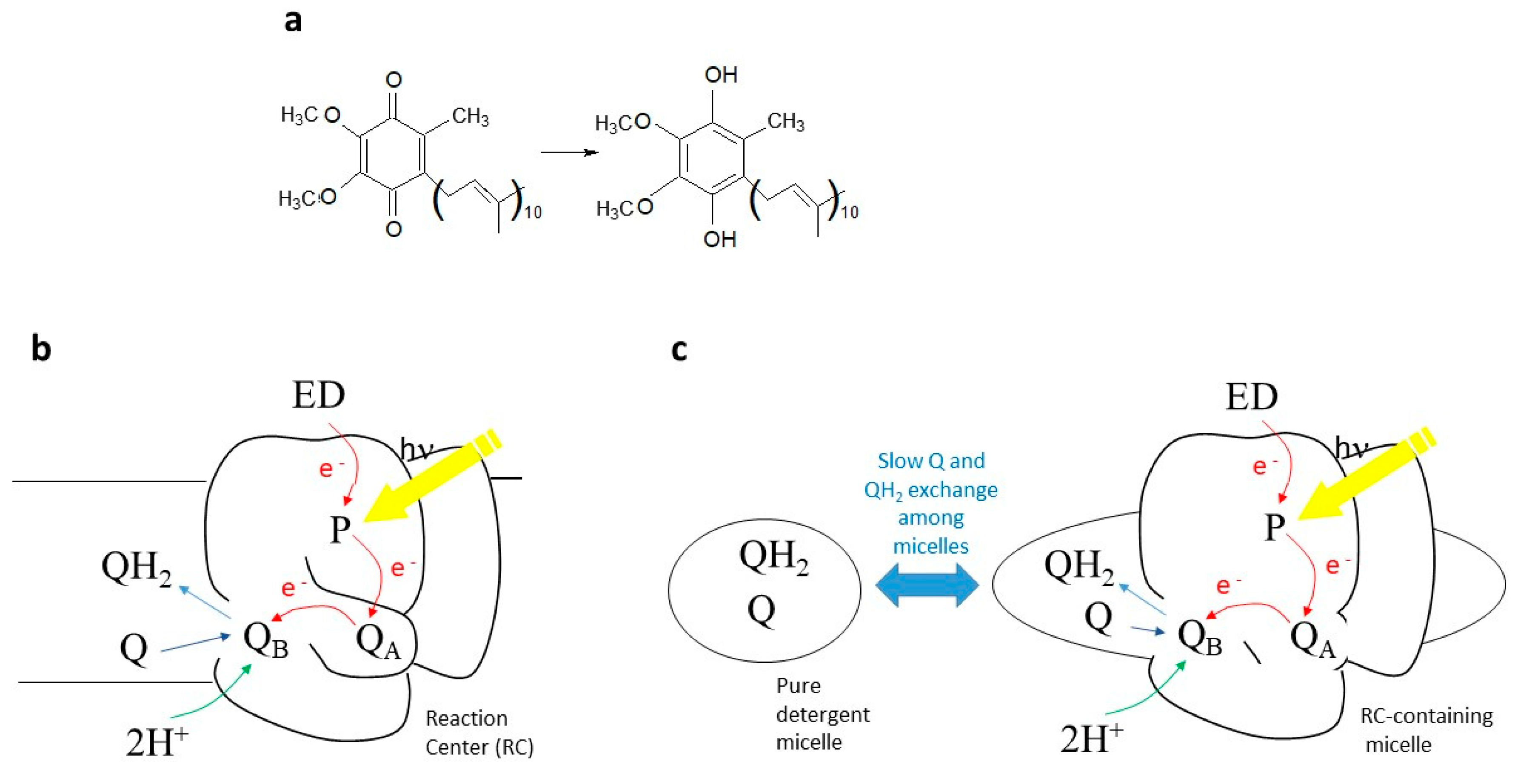 Ijms 24 05233 g001 Ijms 24 05233 g001