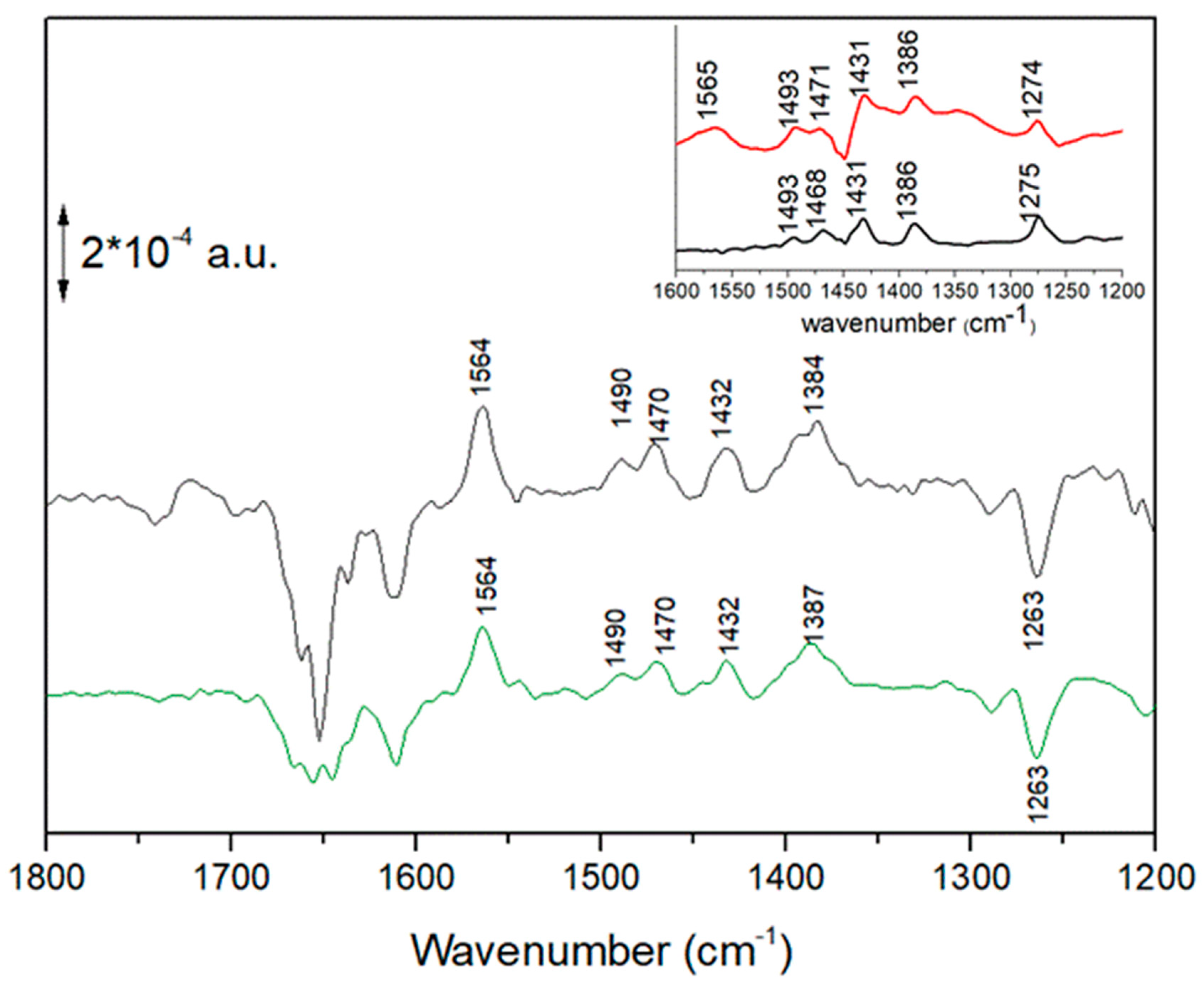 Ijms 24 05233 g006 Ijms 24 05233 g006