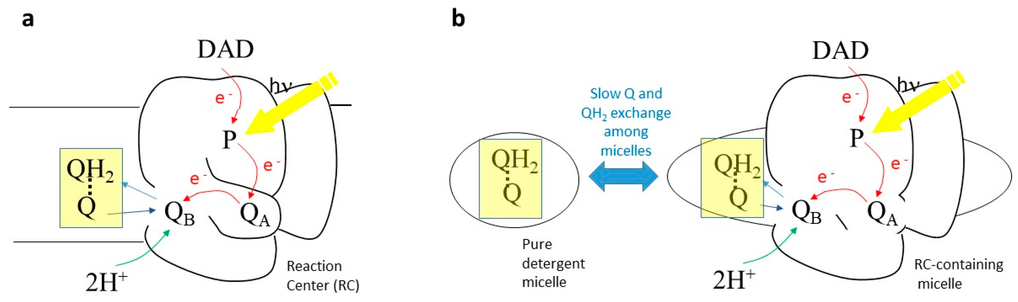 Ijms 24 05233 g009 Ijms 24 05233 g009