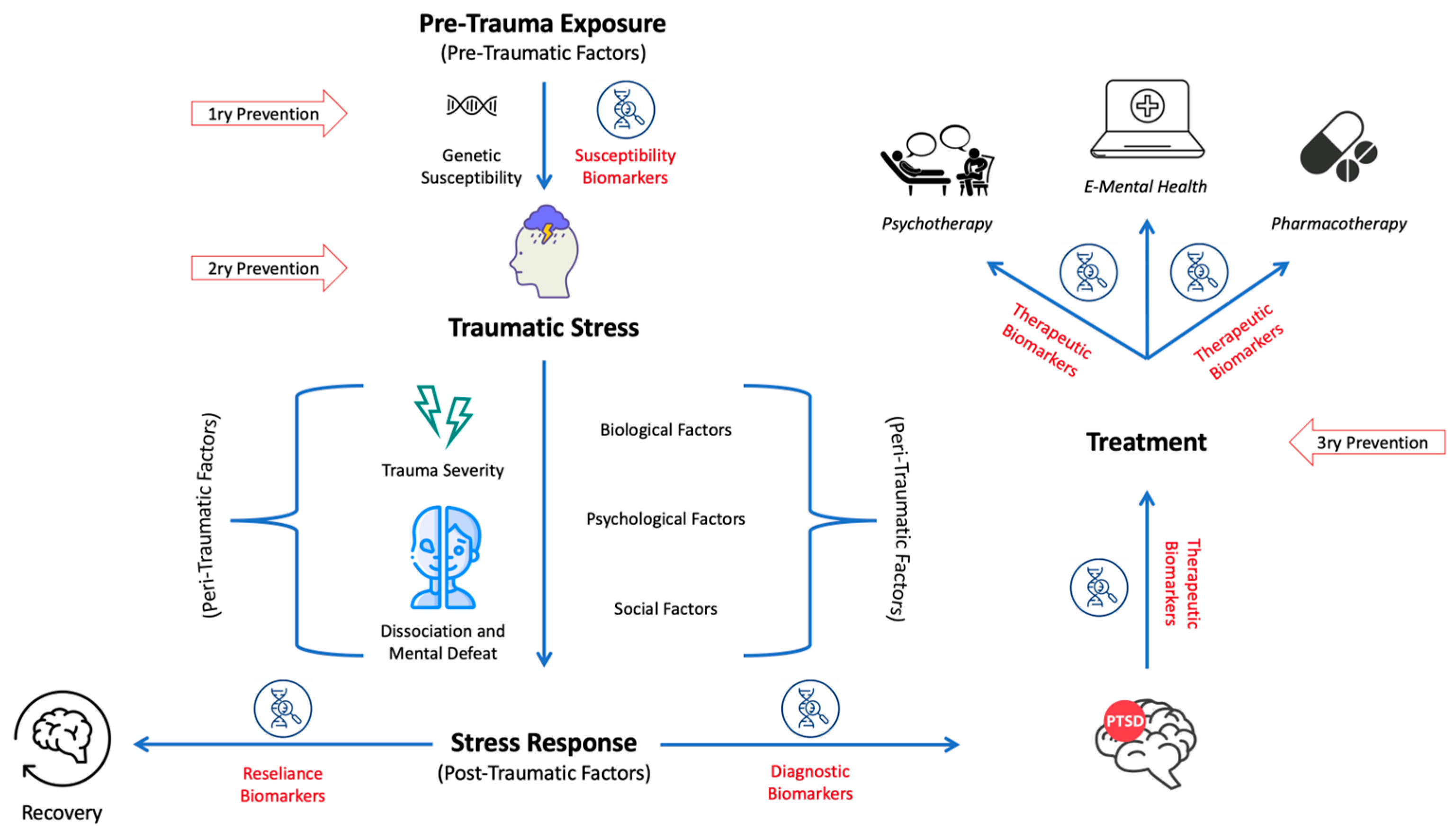 IJMS | Free Full-Text | To Predict, Prevent, and Manage Post-Traumatic  Stress Disorder (PTSD): A Review of Pathophysiology, Treatment, and  Biomarkers