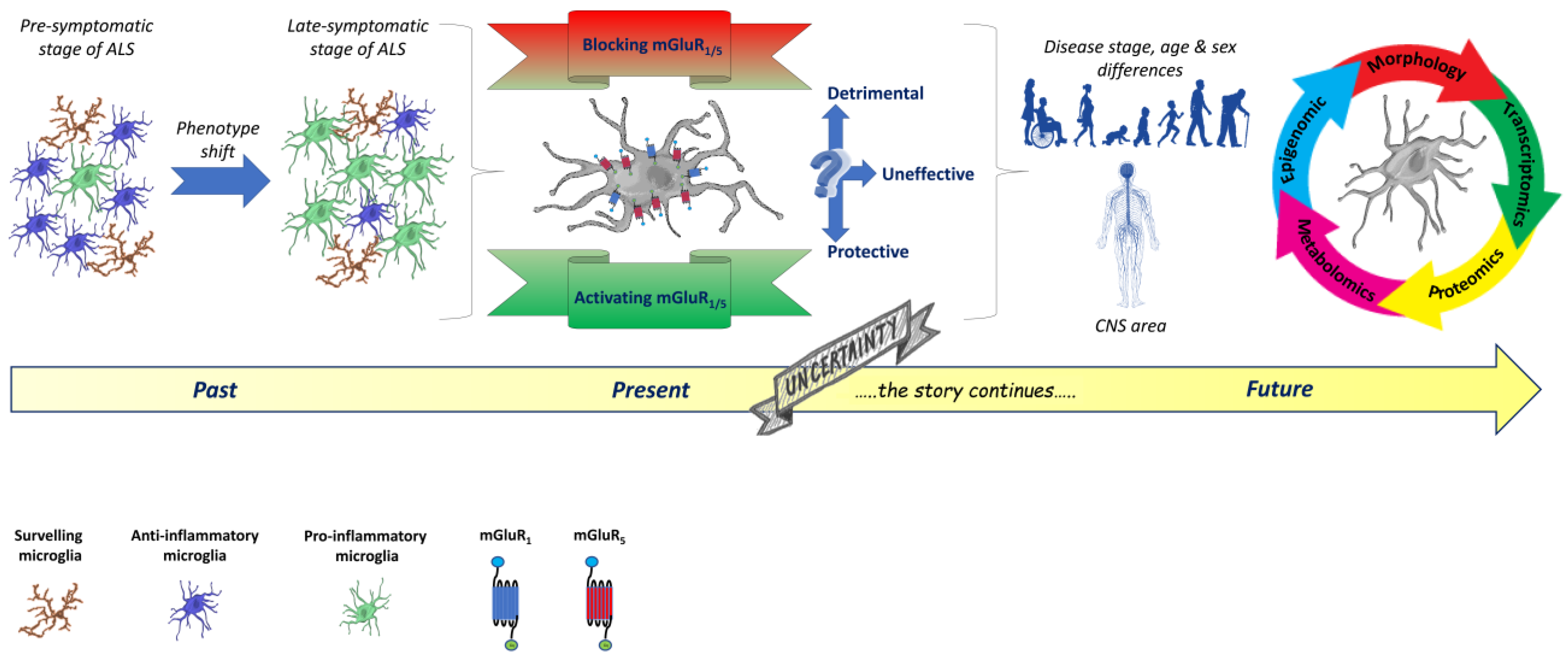 Ijms 24 05240 g002 Ijms 24 05240 g002