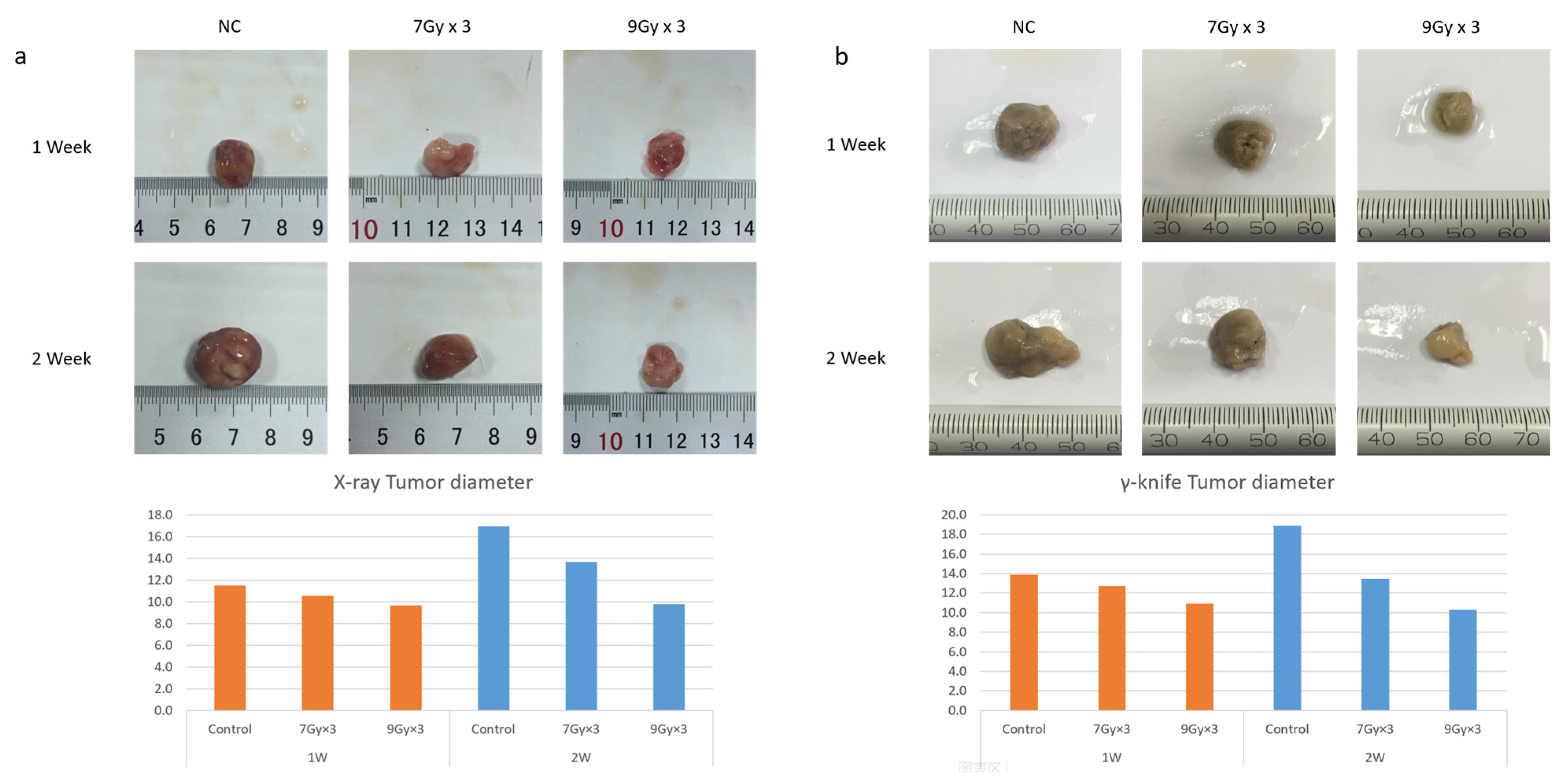 Ijms 24 05257 g001a Ijms 24 05257 g001a