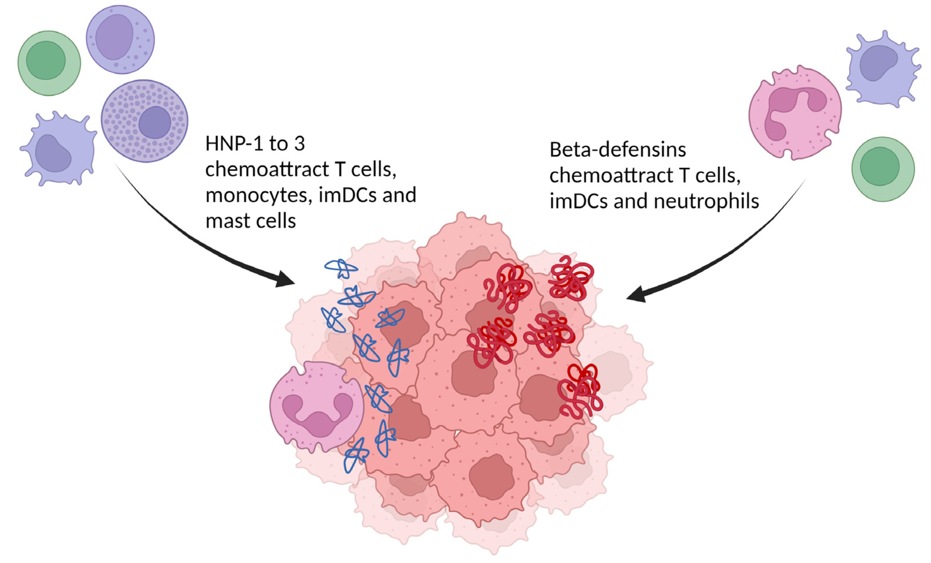 Ijms 24 05268 g003 Ijms 24 05268 g003