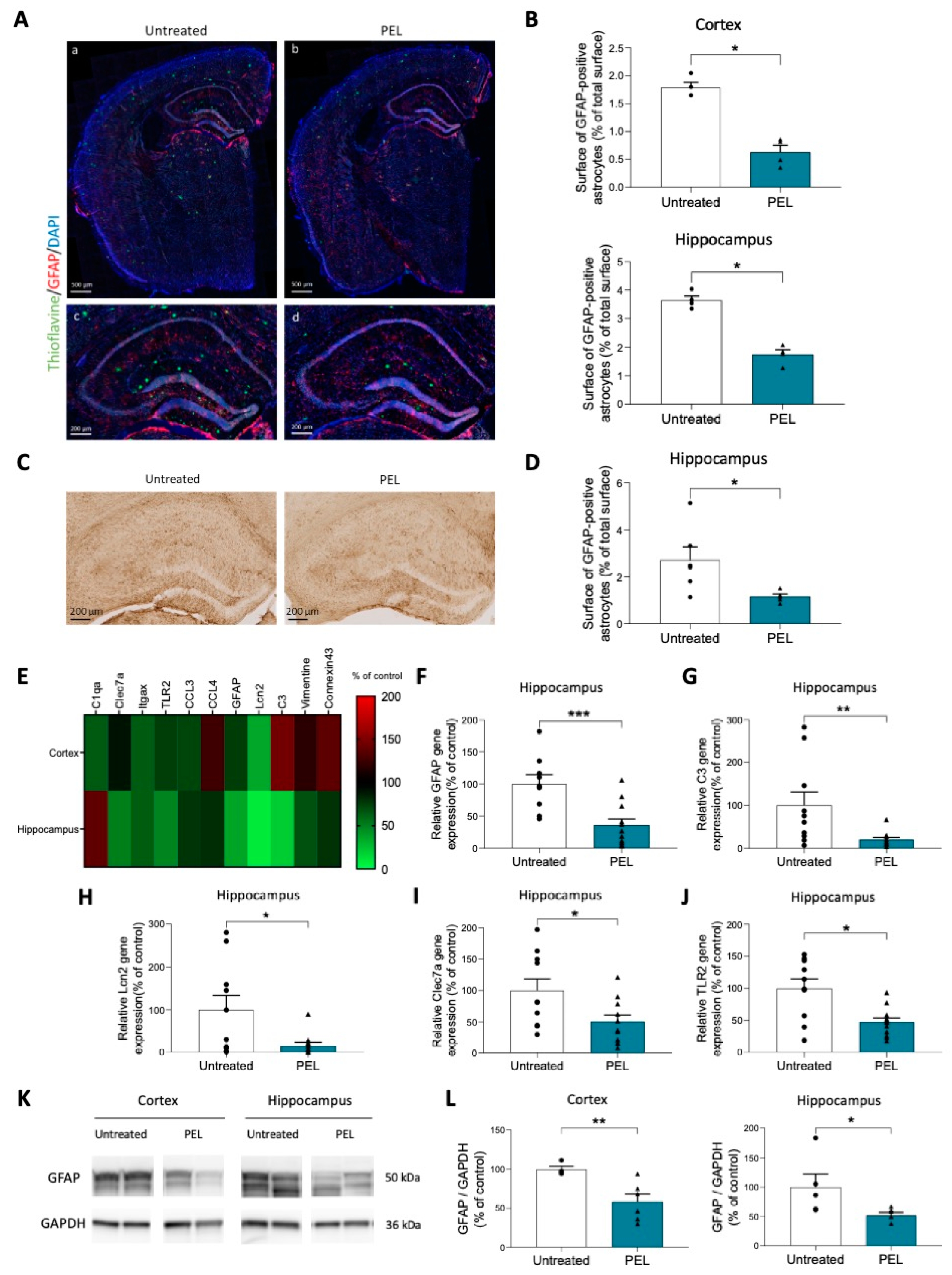 Ijms 24 05285 g003 Ijms 24 05285 g003