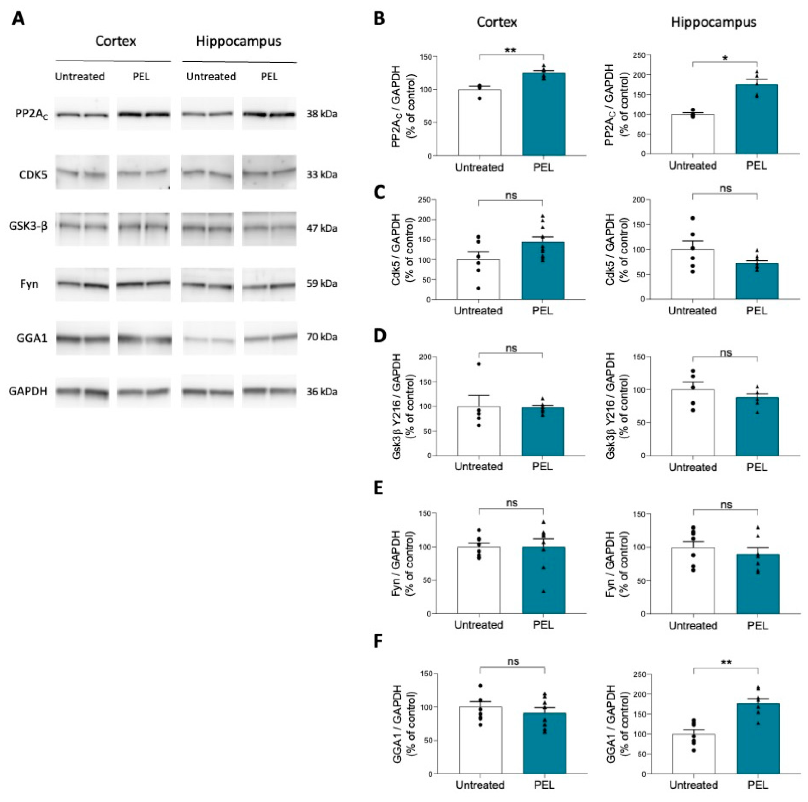 Ijms 24 05285 g004 Ijms 24 05285 g004