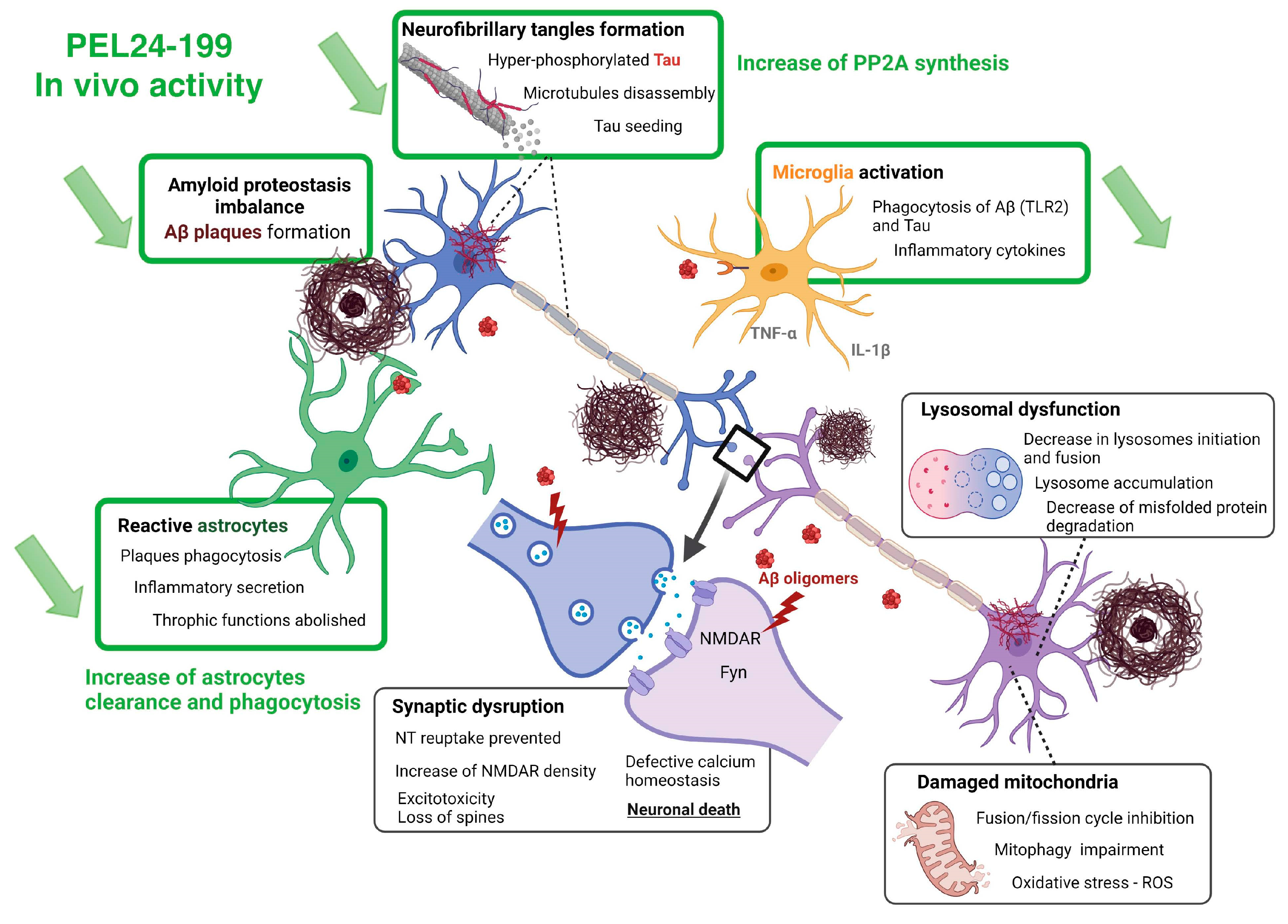 Ijms 24 05285 g005 Ijms 24 05285 g005
