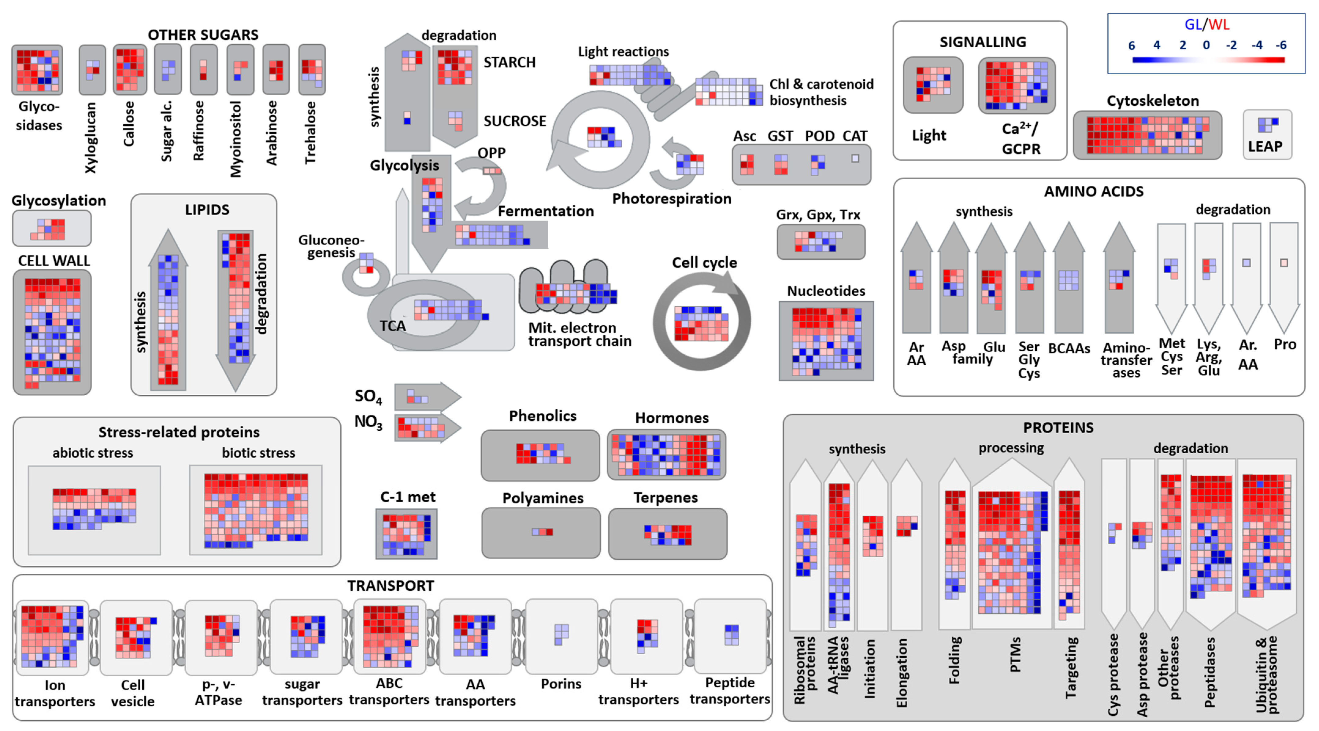 Ijms 24 05288 g003 Ijms 24 05288 g003