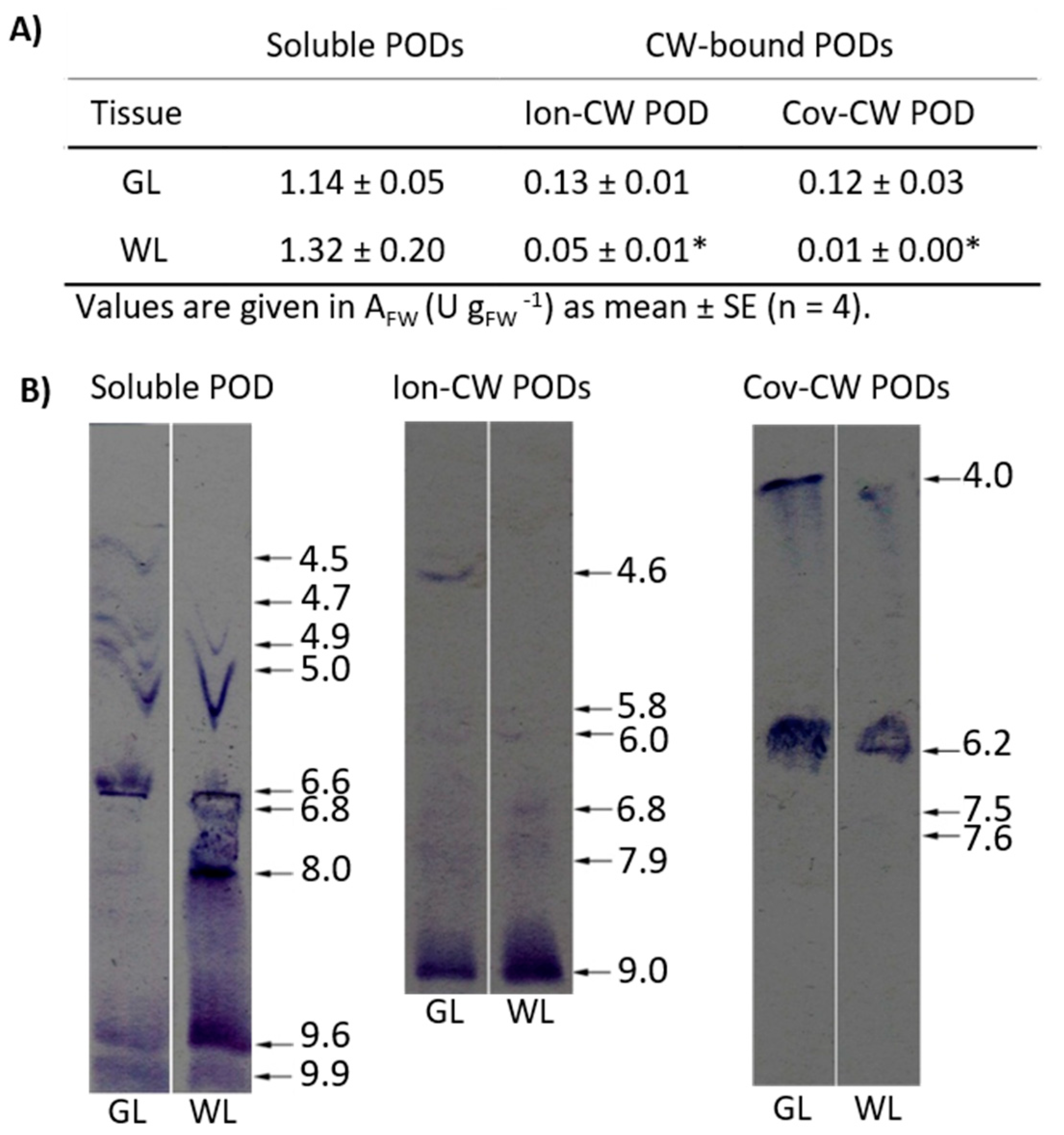 Ijms 24 05288 g005 Ijms 24 05288 g005