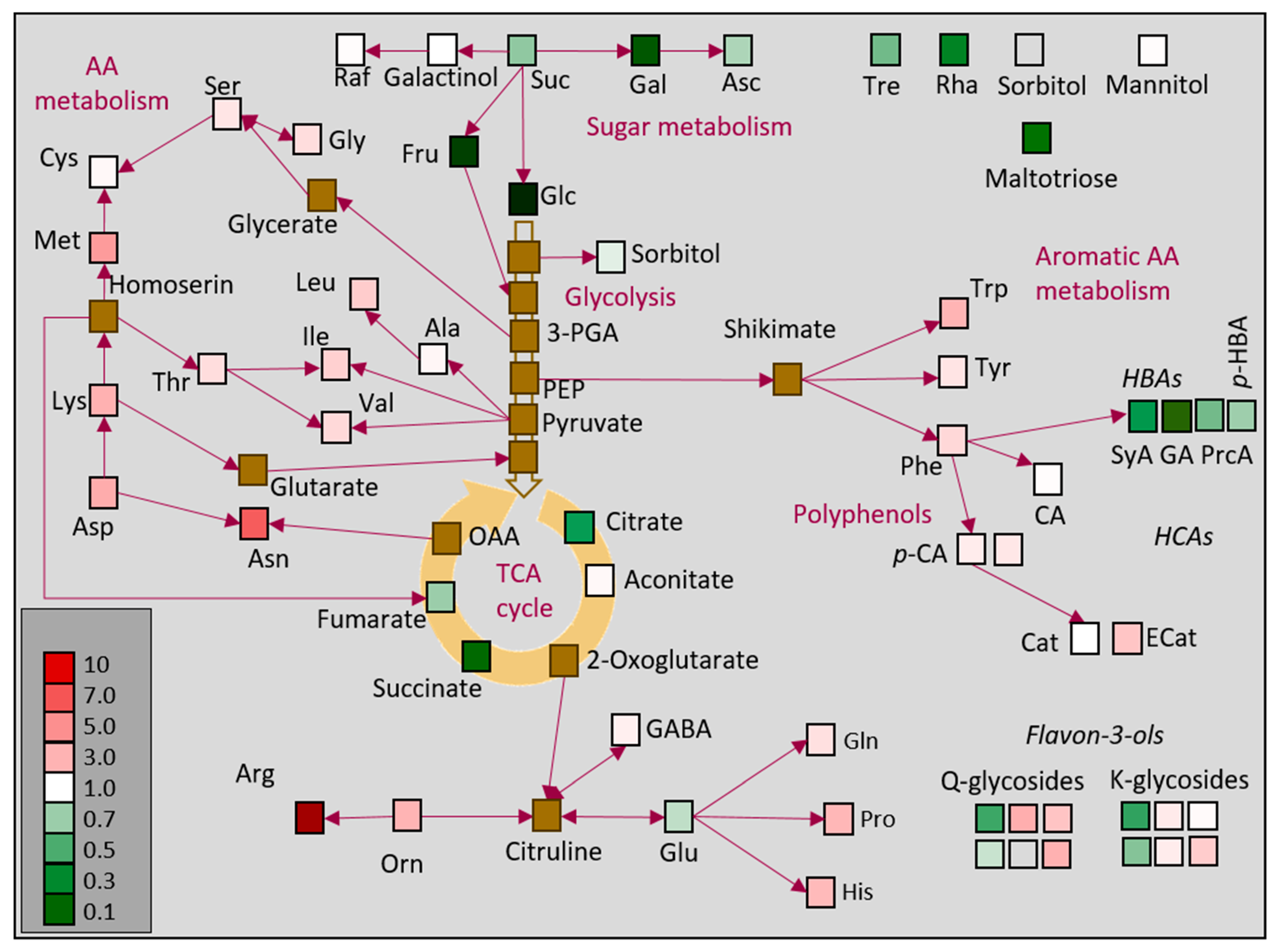 Ijms 24 05288 g006 Ijms 24 05288 g006