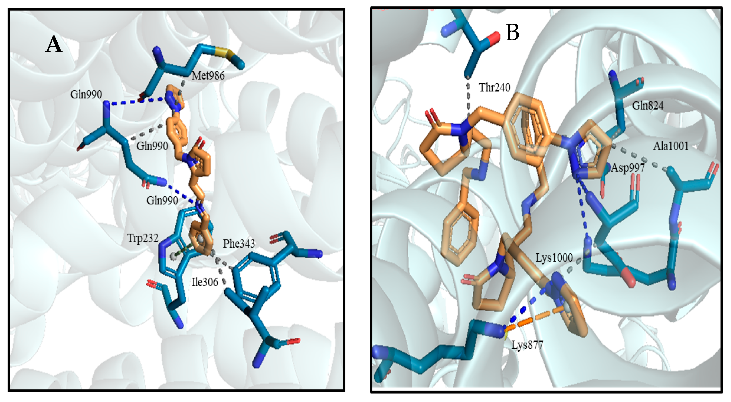 Ijms 24 05298 g006 Ijms 24 05298 g006