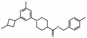 Ijms 24 05298 i002 Ijms 24 05298 i002