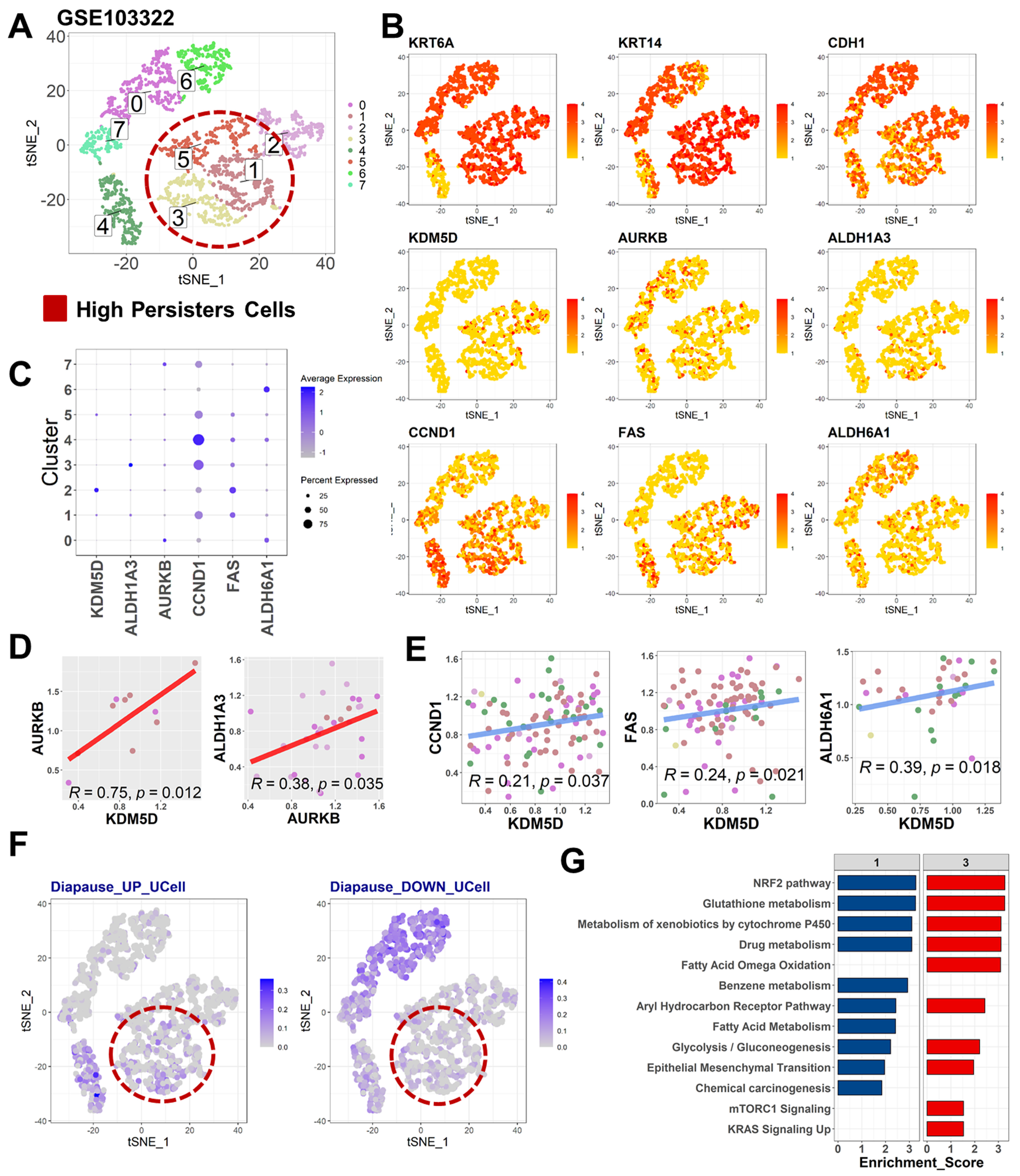 Ijms 24 05310 g003 Ijms 24 05310 g003