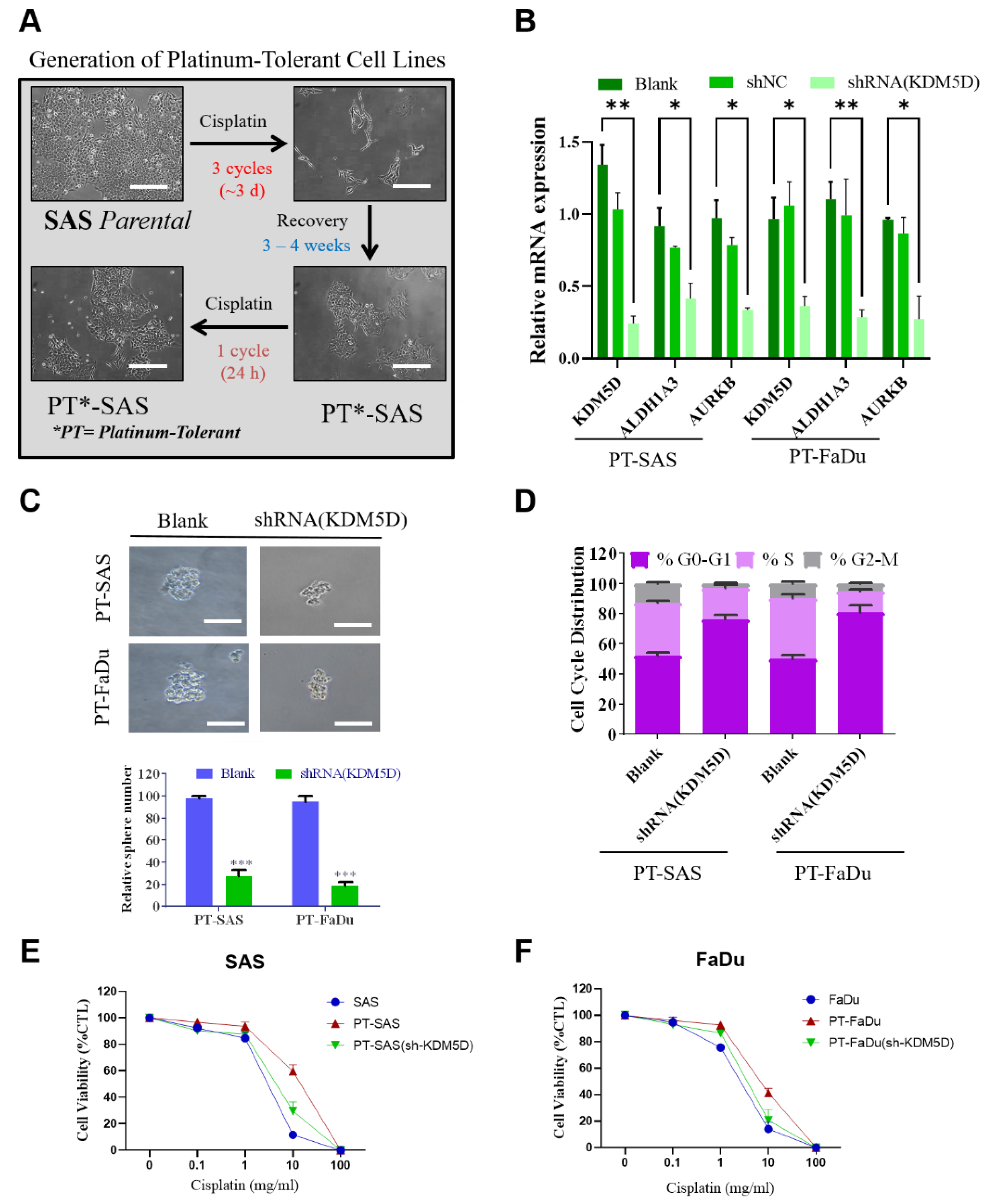 Ijms 24 05310 g004 Ijms 24 05310 g004