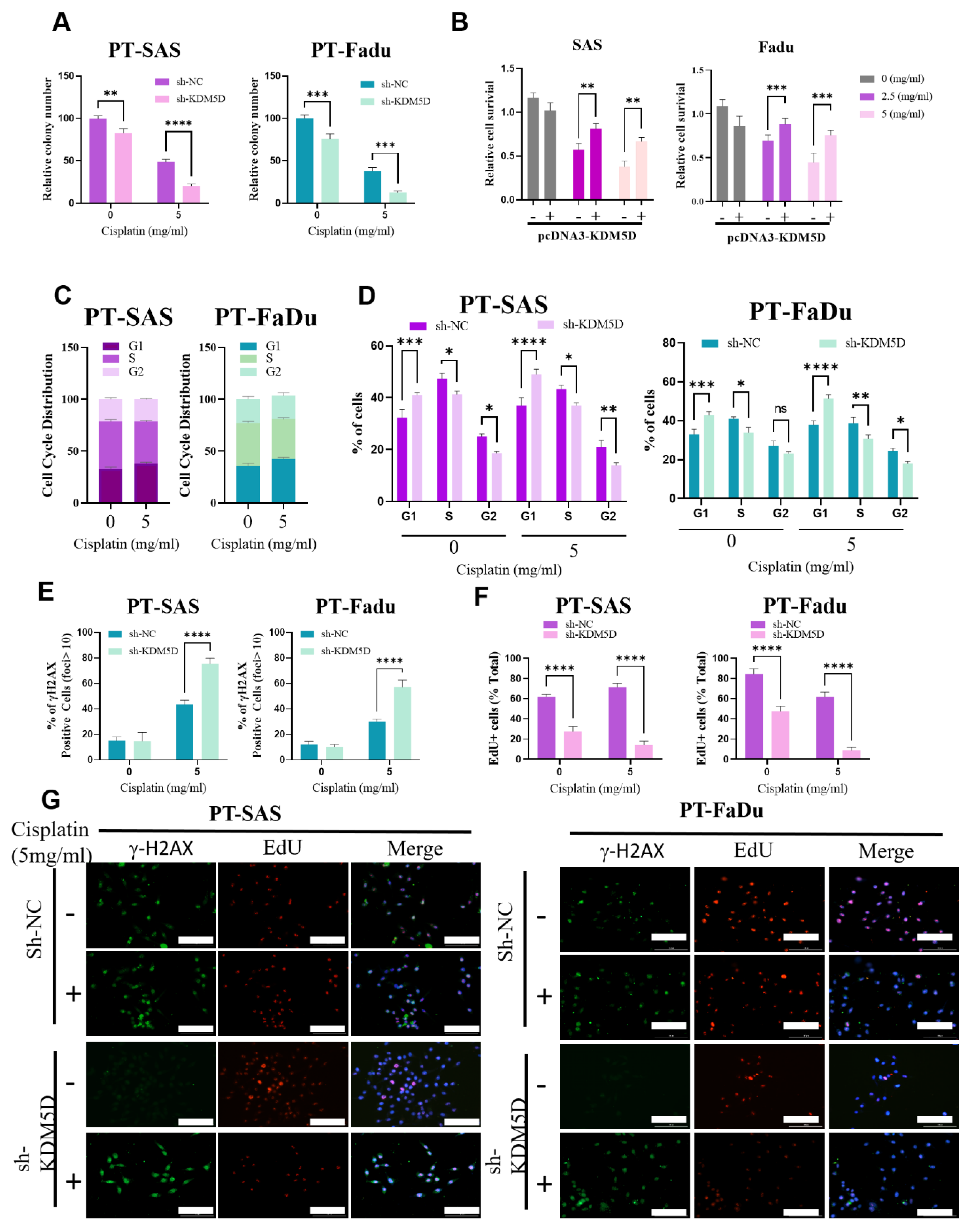 Ijms 24 05310 g005 Ijms 24 05310 g005