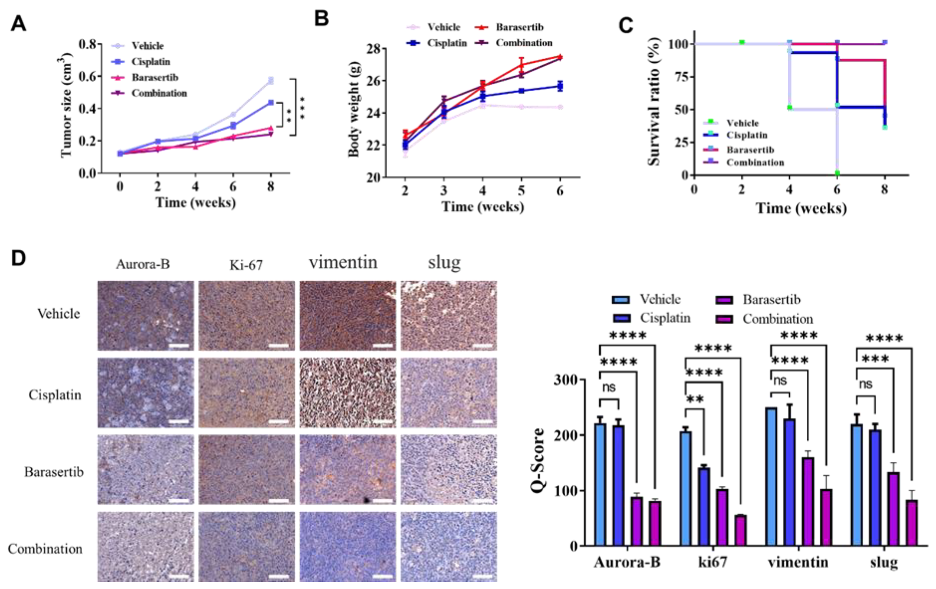 Ijms 24 05310 g007 Ijms 24 05310 g007